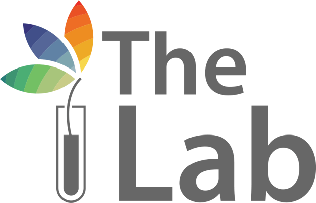 Global Innovation Lab for Climate Finance