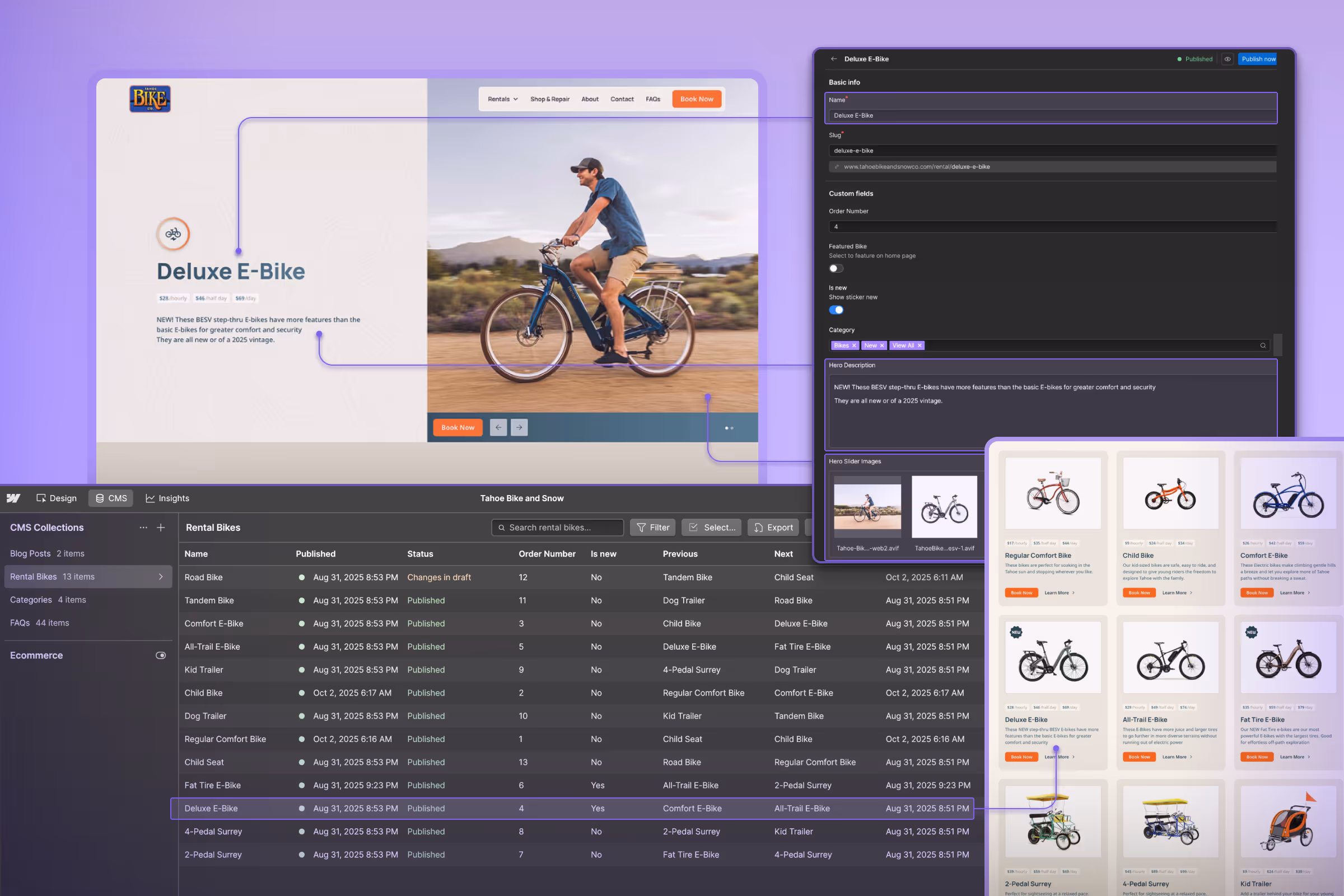 Webflow CMS integration mapping