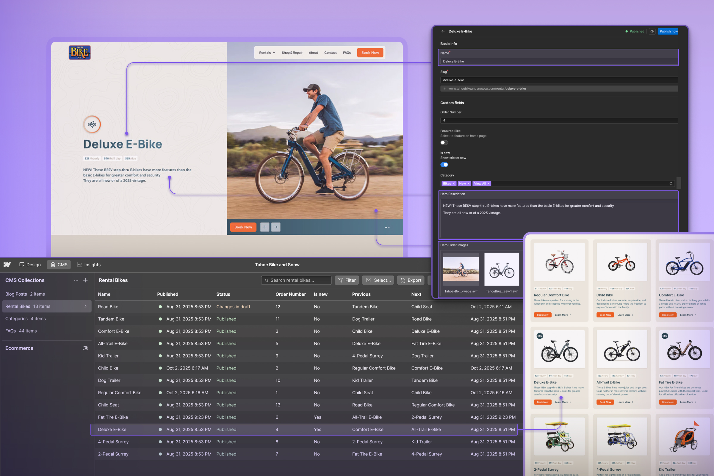 Webflow CMS integration mapping