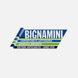 Logo Bignamini srl