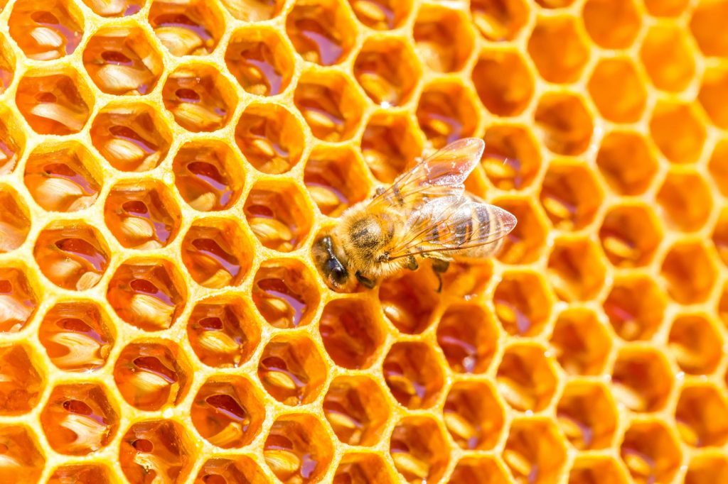 Mano che tiene uno smartphone con batteria quasi scarica in carica.