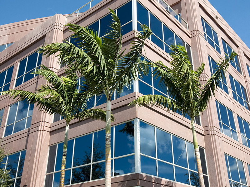 tampa bay office building