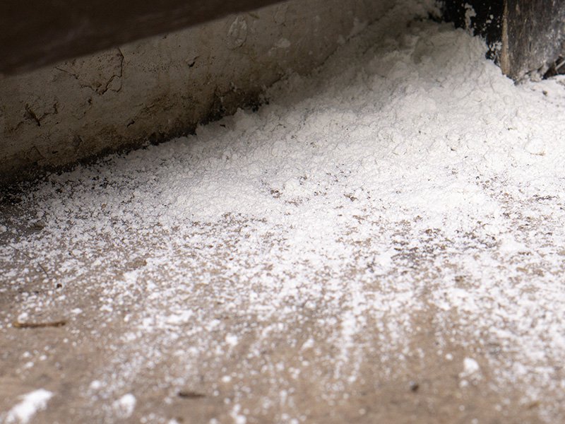 boric acid on basement floor