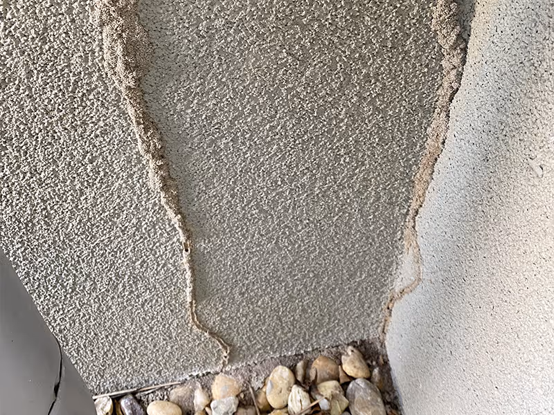 termite tubes