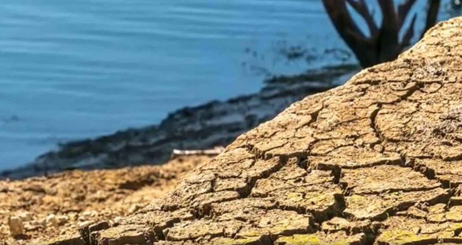 Preparation, management and recovery from dry conditions | Rural ...