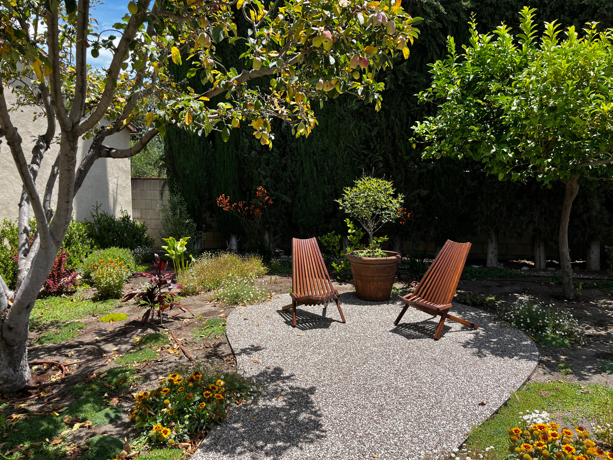 Gravel path winding through green urban garden with trees and flowering bushes near tall glass building.