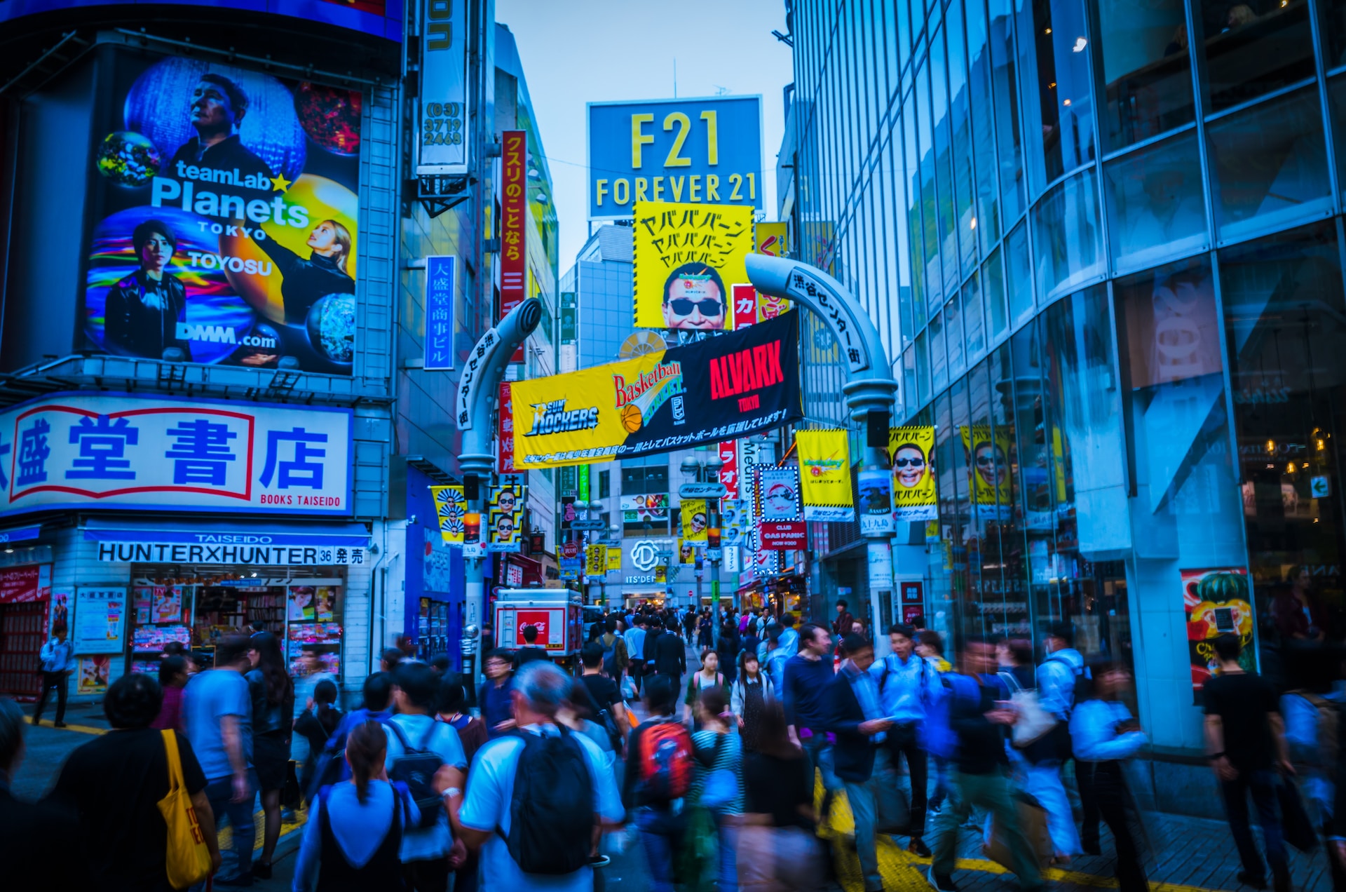 Latin Characters and Japanese Websites