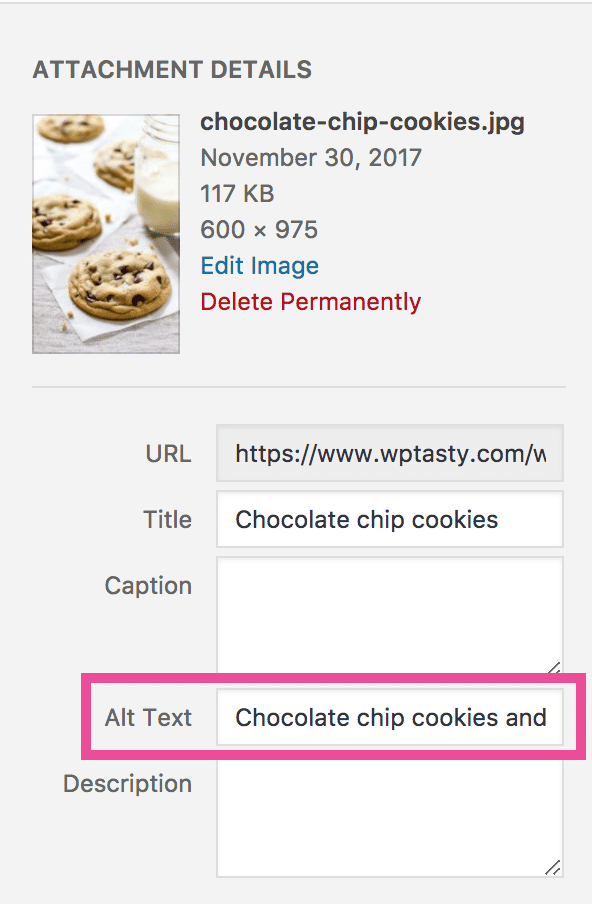 google image alt text