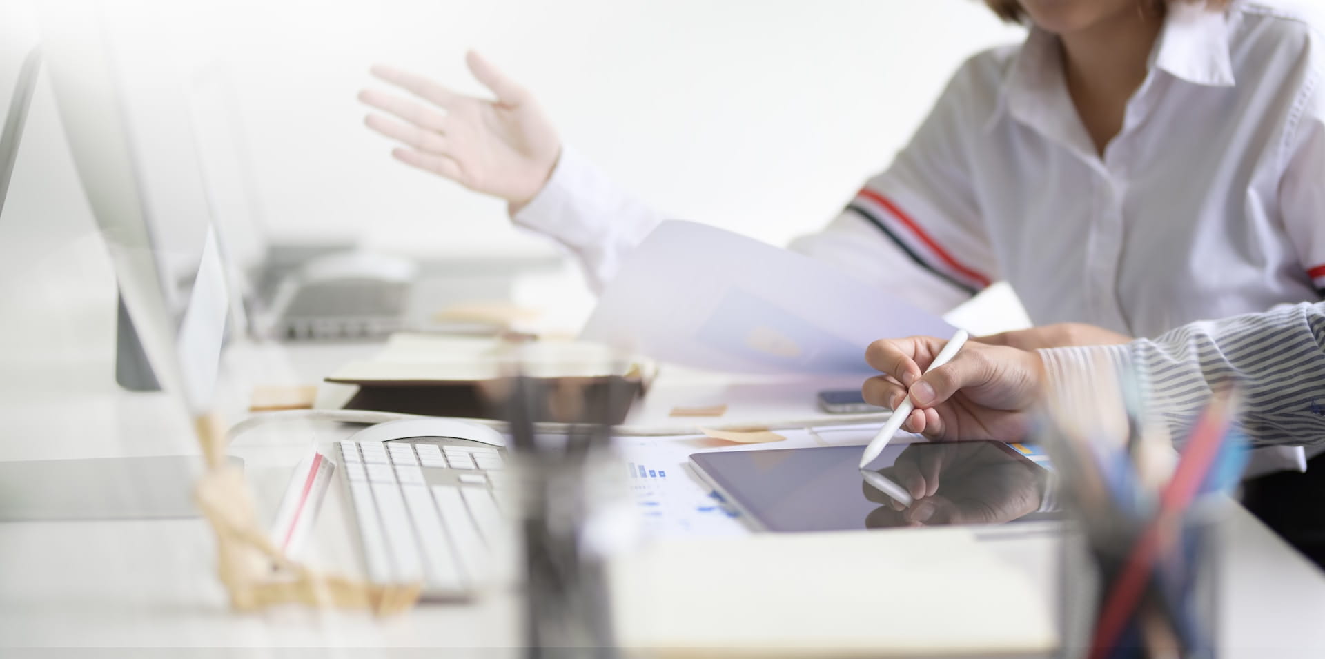 What Does a Zoho Developer Do? - Twelverays blog