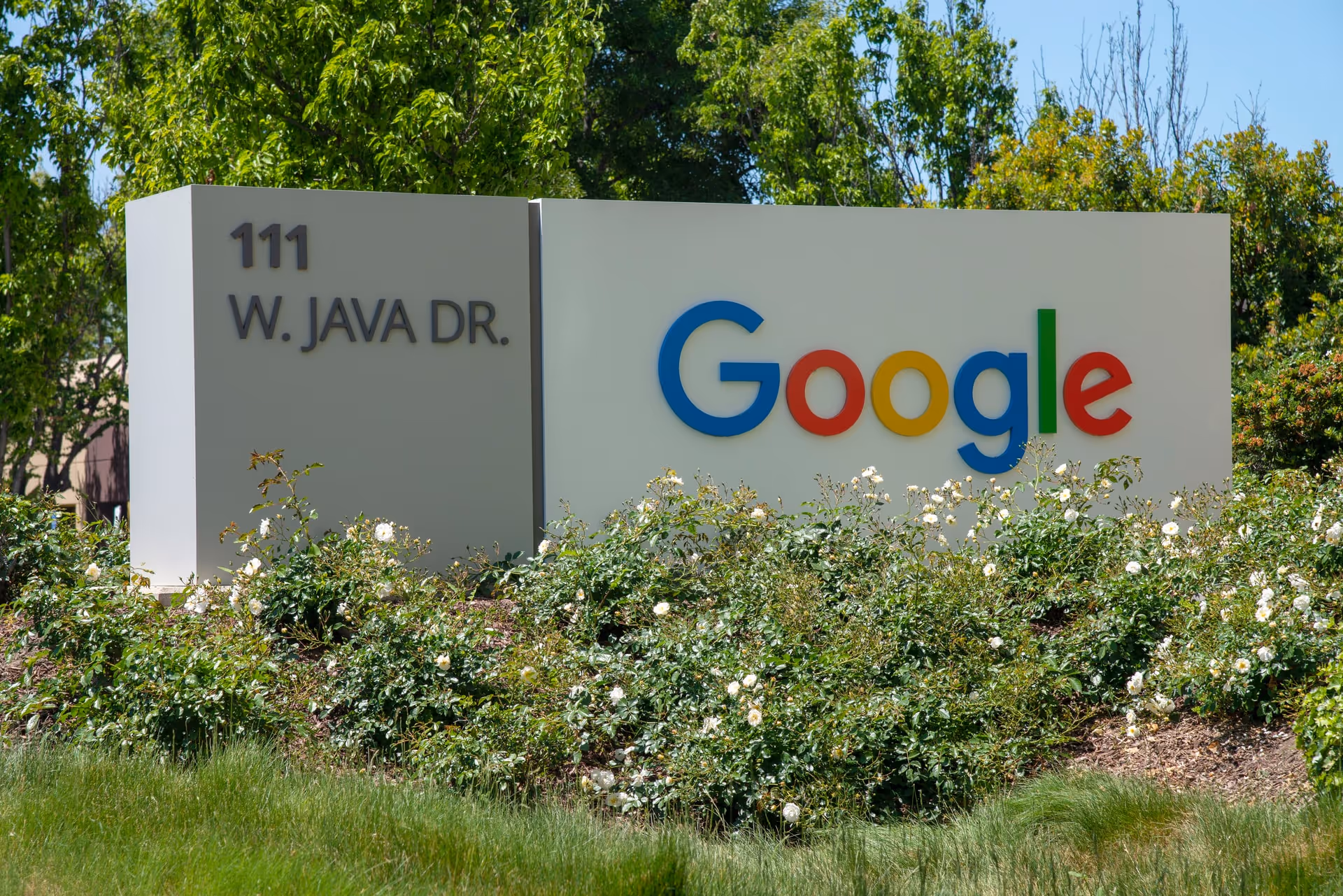 Learn about these SEO mistakes to avoid - Twelverays blog