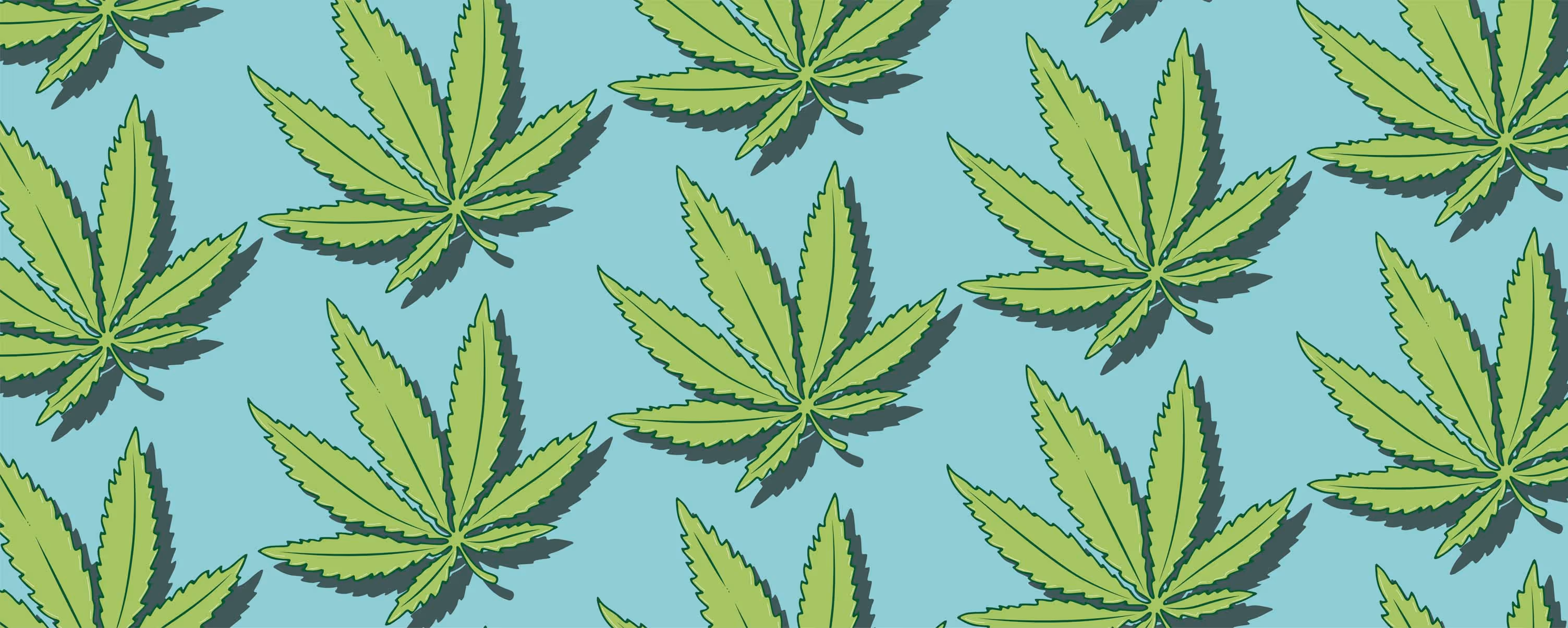 How to Improve Cannabis Industry Digital Marketing - Twelverays blog