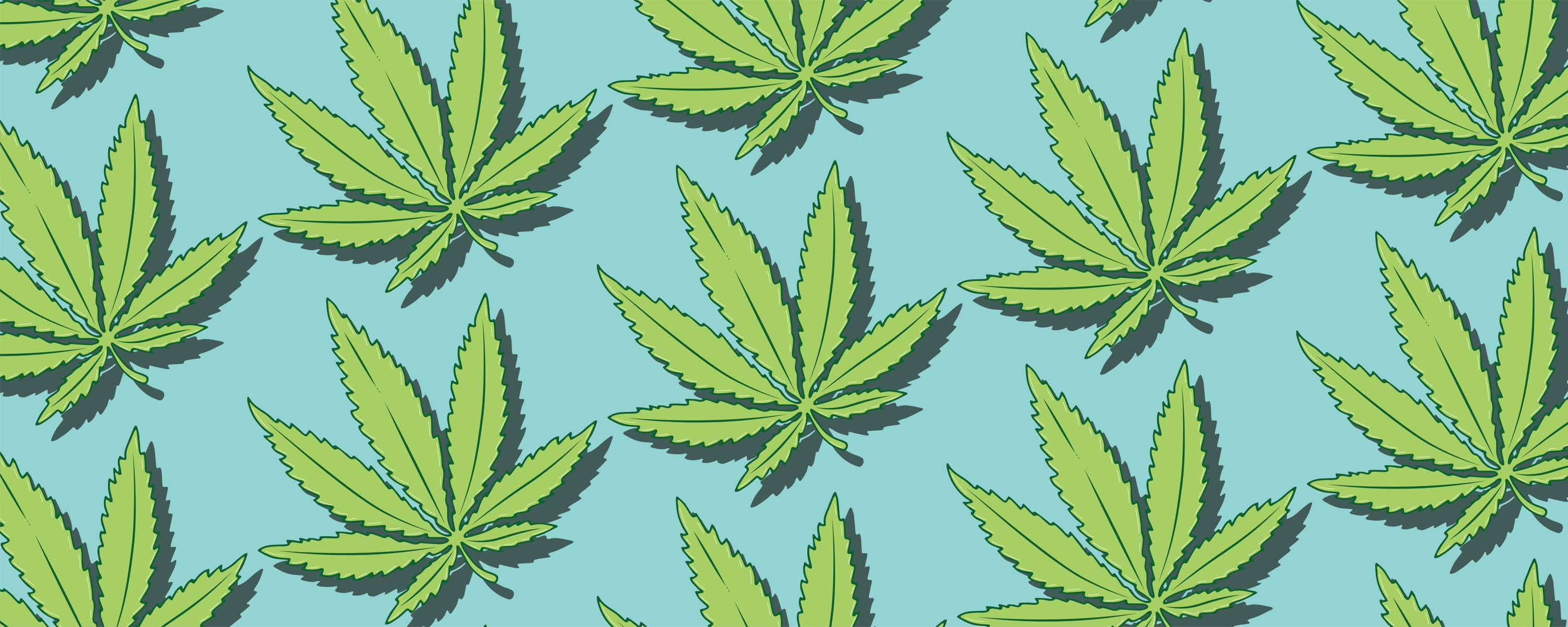 How to Improve Cannabis Industry Digital Marketing - Twelverays blog