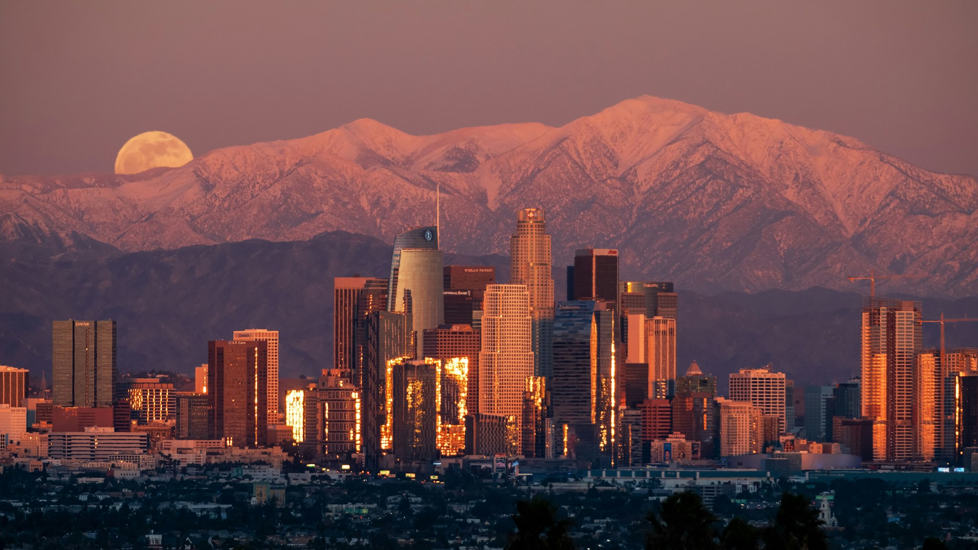 Digital Marketing for Los Angeles IT Companies - Twelverays blog