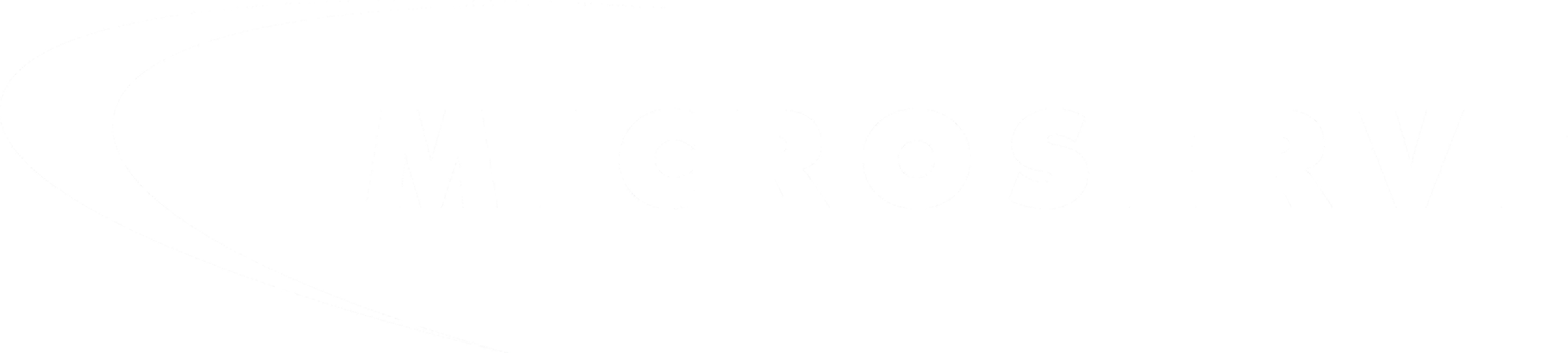 Microserve case study - Twelverays