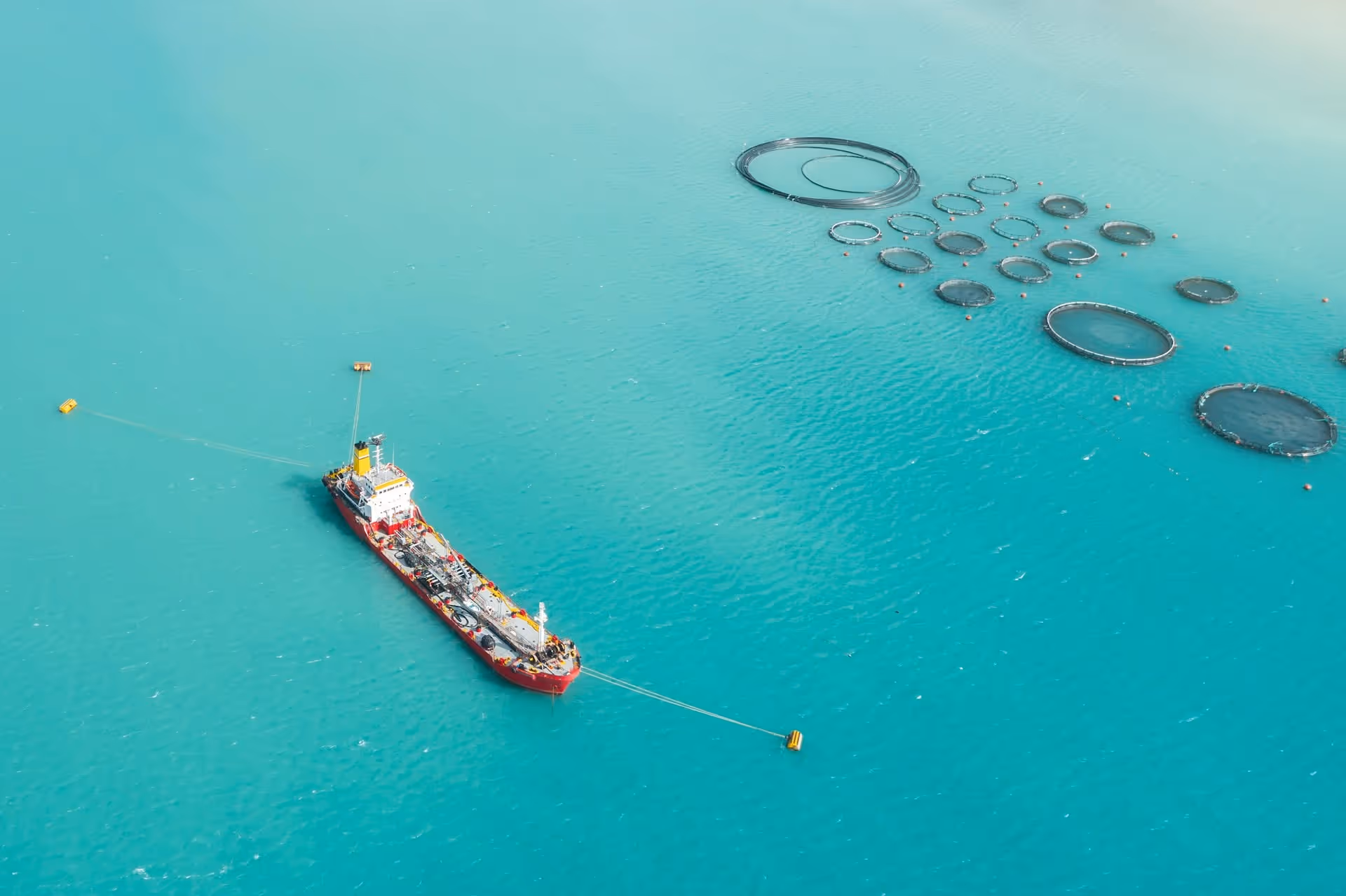 Hoskin Scientific case study - Twelverays