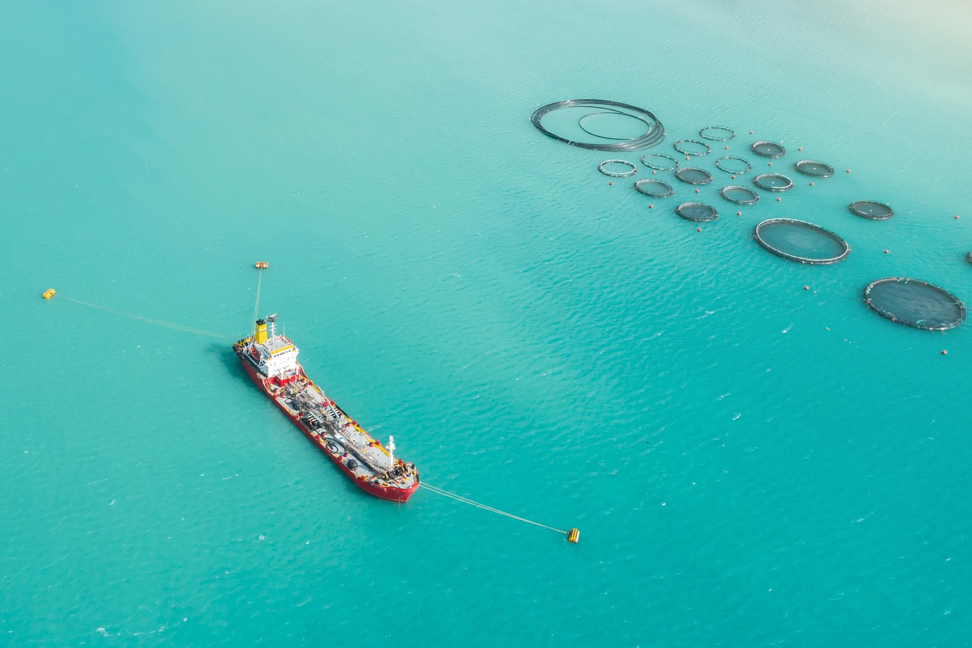 Hoskin Scientific case study - Twelverays