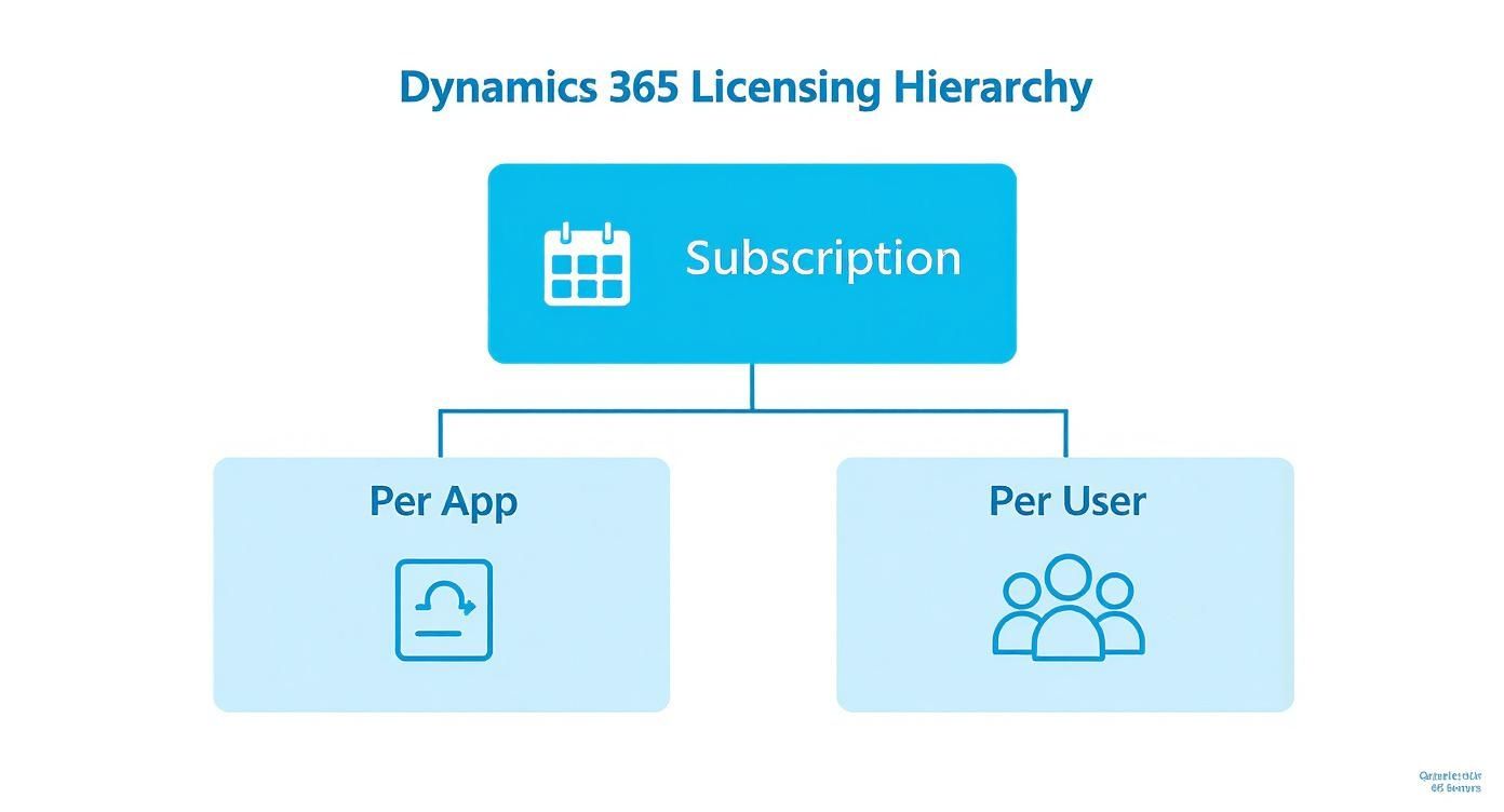 A diagram illustrating the Dynamics 365 licensing hierarchy: Subscription, with options for Per App and Per User.