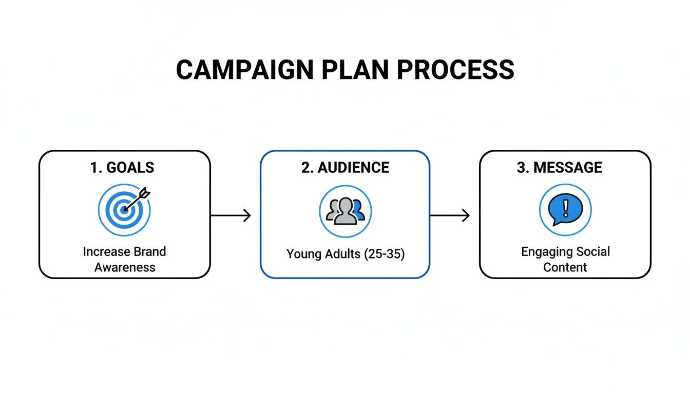 Flowchart detailing the campaign plan process steps: Goals, Audience (young adults 25-35), and Message.