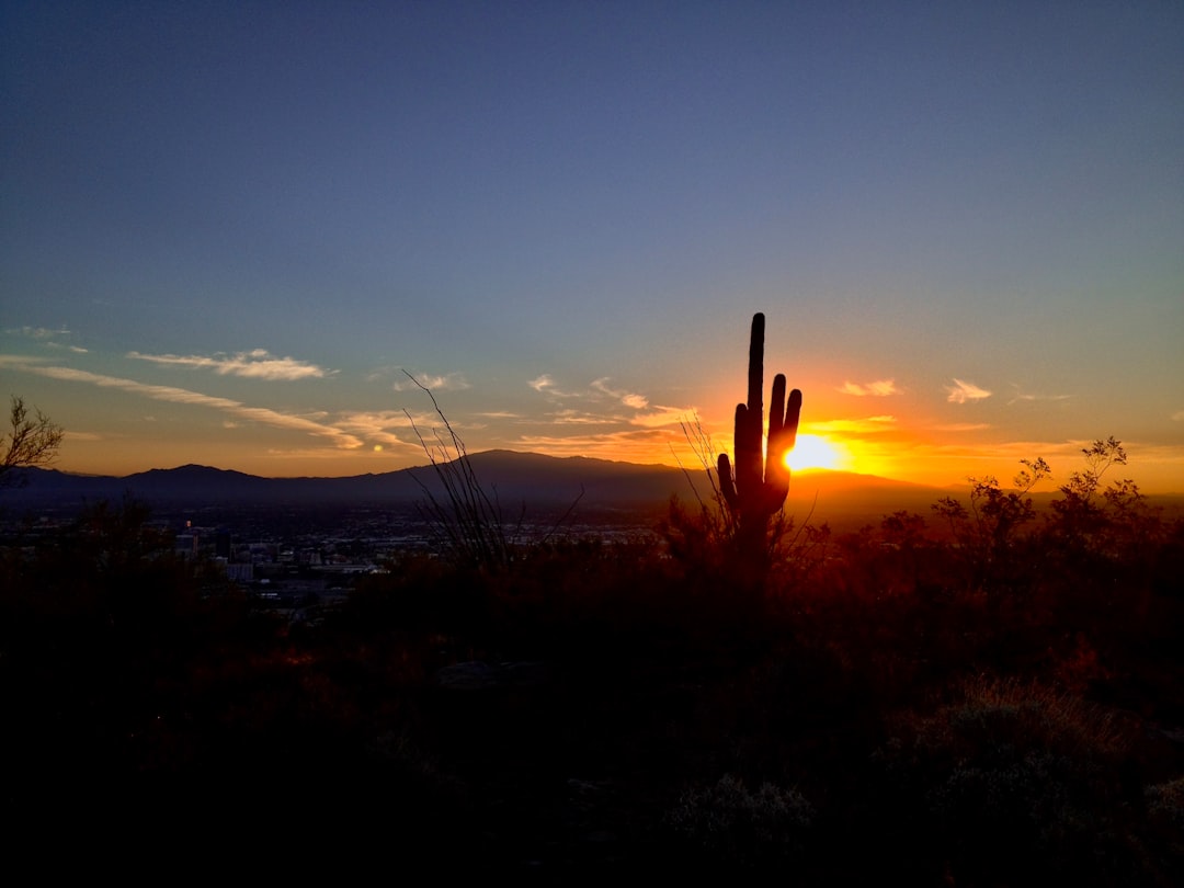 Web Design Agency Tucson, AZ