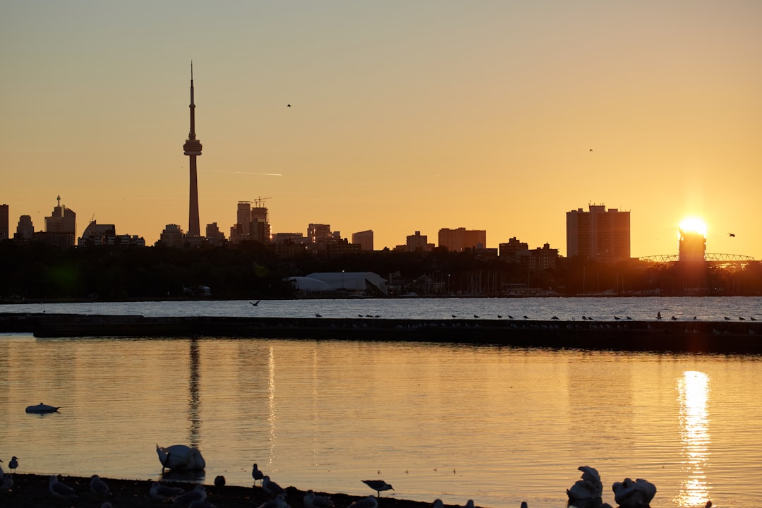 Website Redesign Toronto, ON