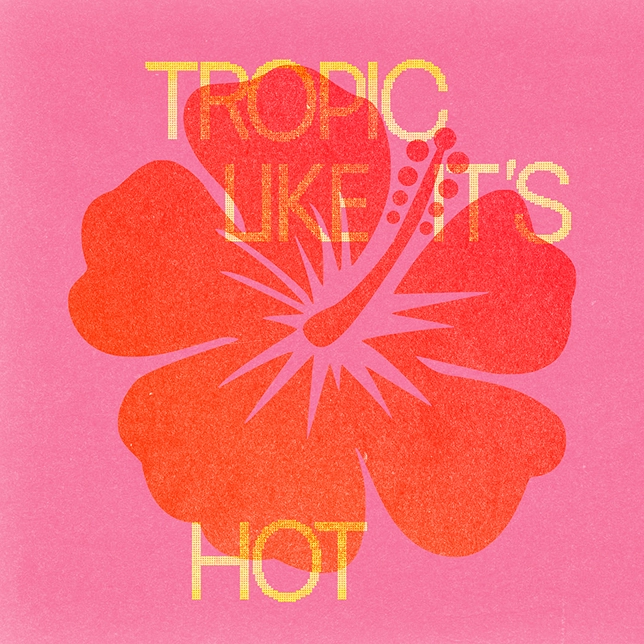 Red hibiscus flower on pink background with yellow text reading 'TROPIC LIKE IT'S HOT'.