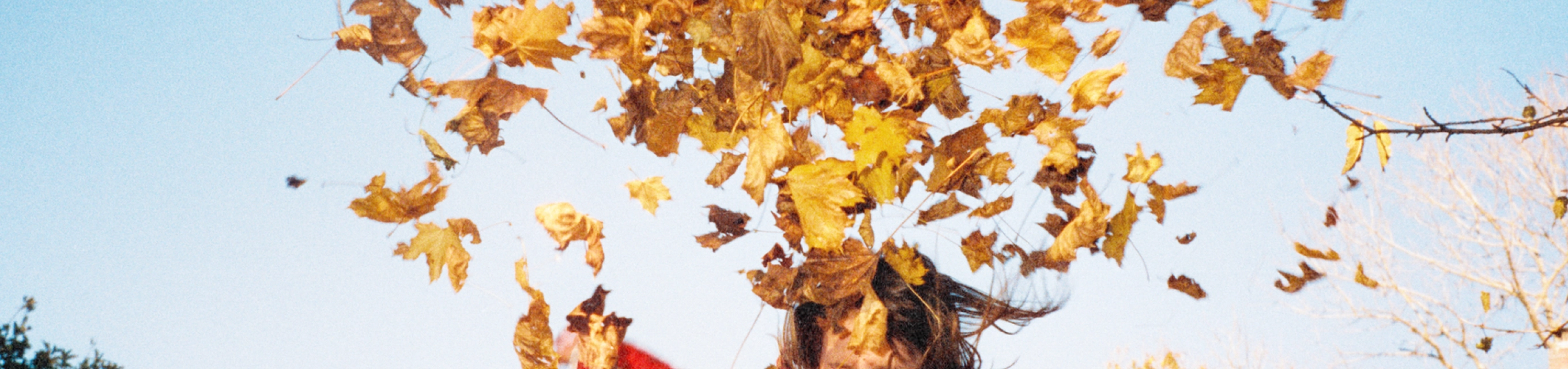 Person joyfully tossing golden autumn leaves into the air under a clear blue sky.