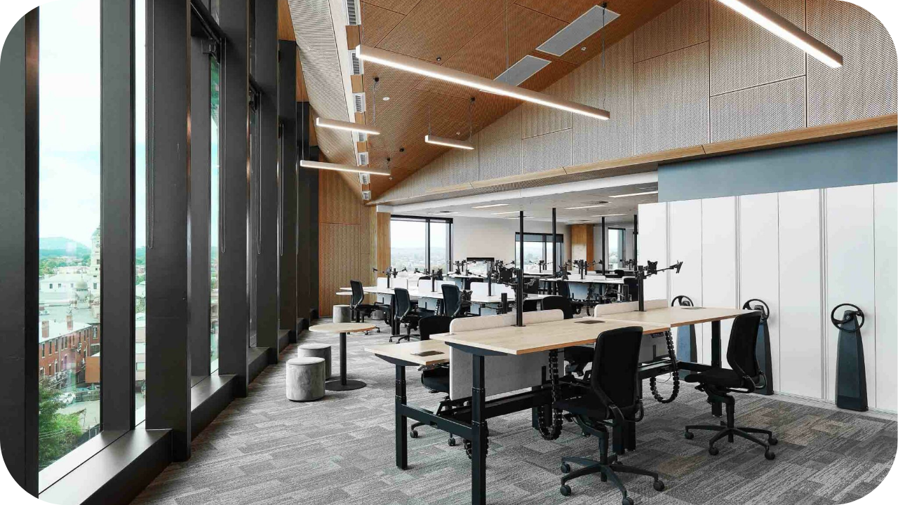 Open-plan office fit out with timber ceilings, large windows, shared desks, and natural light, creating a bright, inspiring workspace.