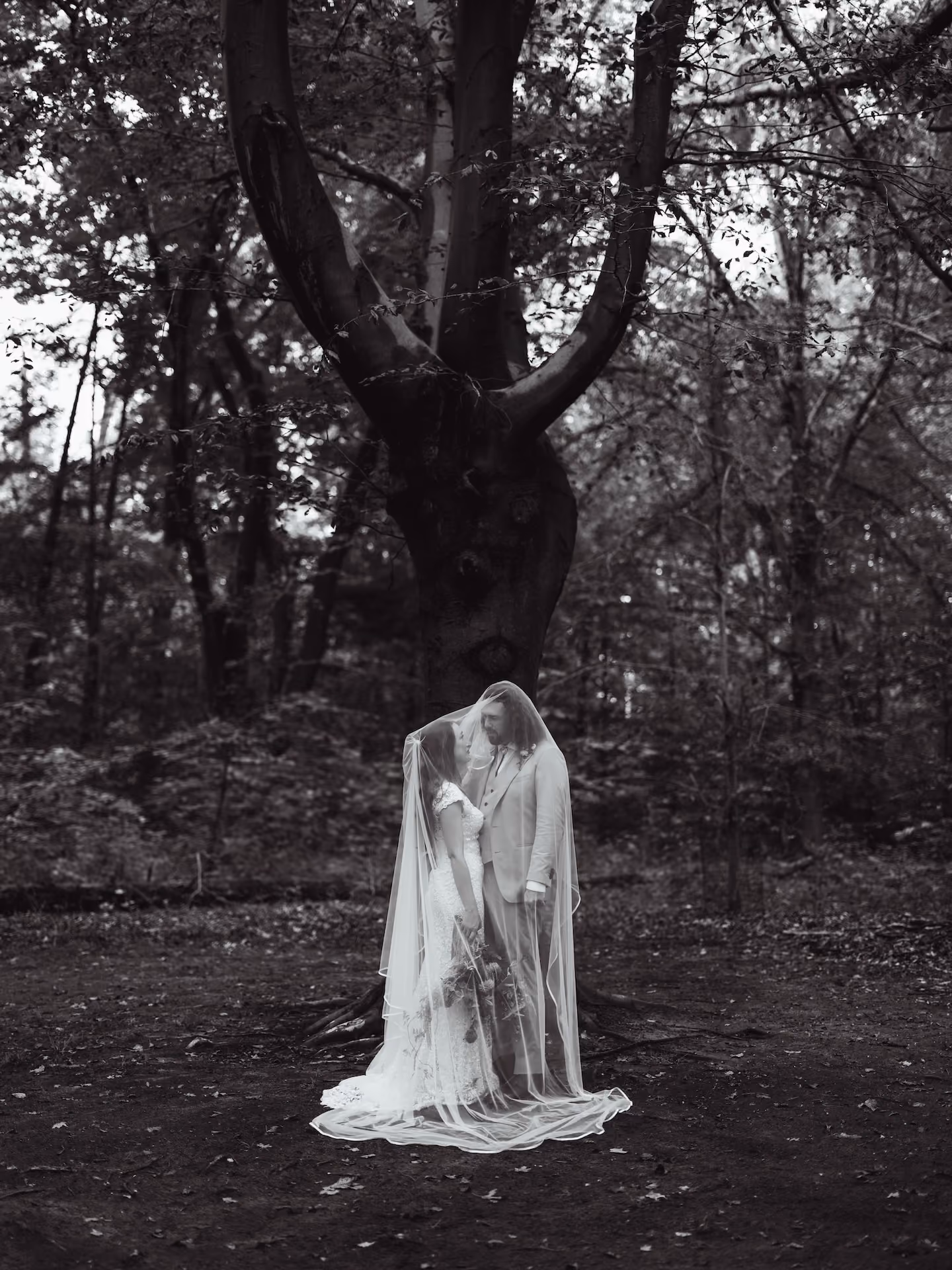 Bride and groom pose in moss garden for black and white portrait after thunder storm in New Hope, PA