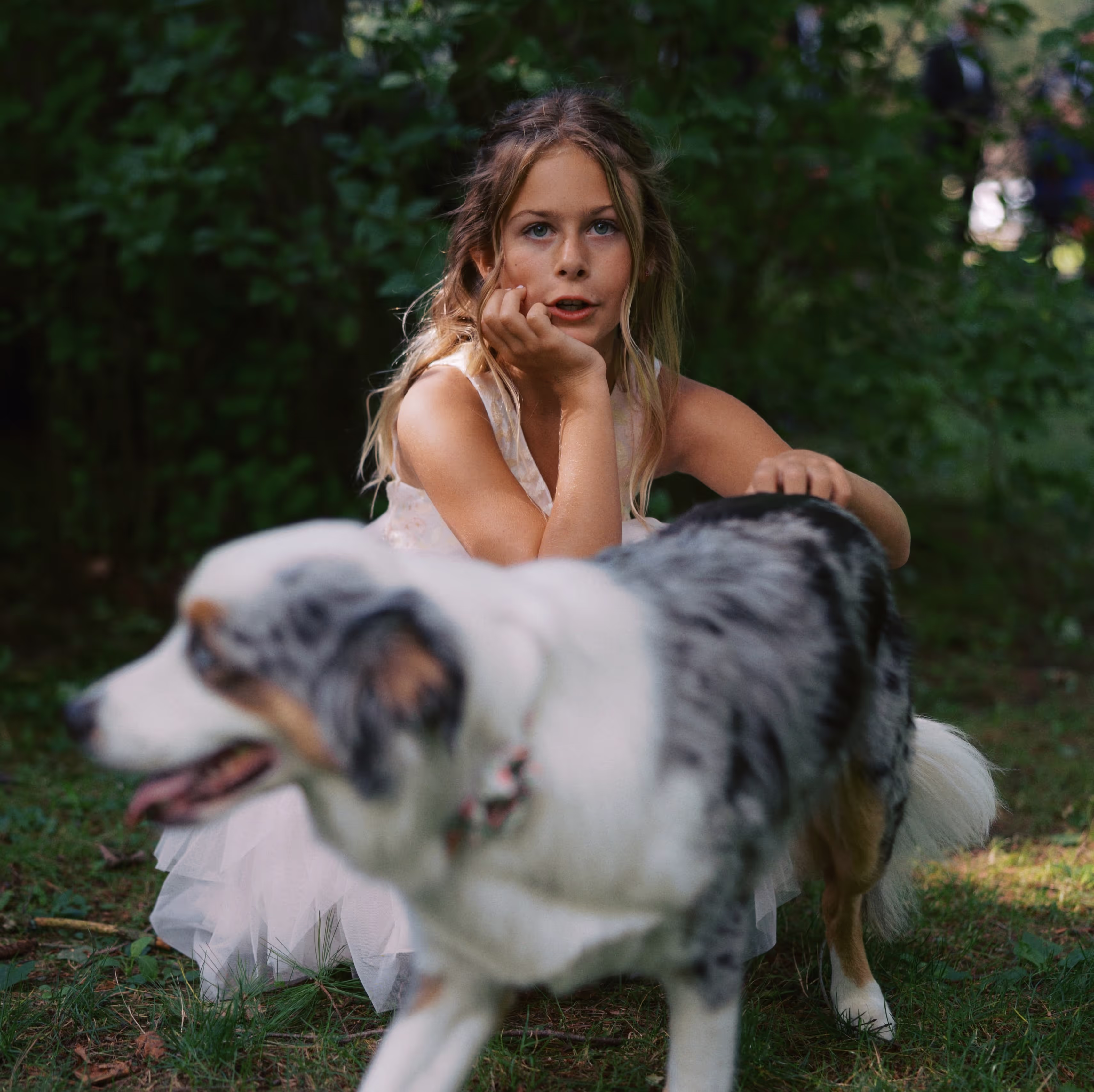 Flower girl sits with the bride and groom's dog on the grass before a wedding ceremony in the Catskills.