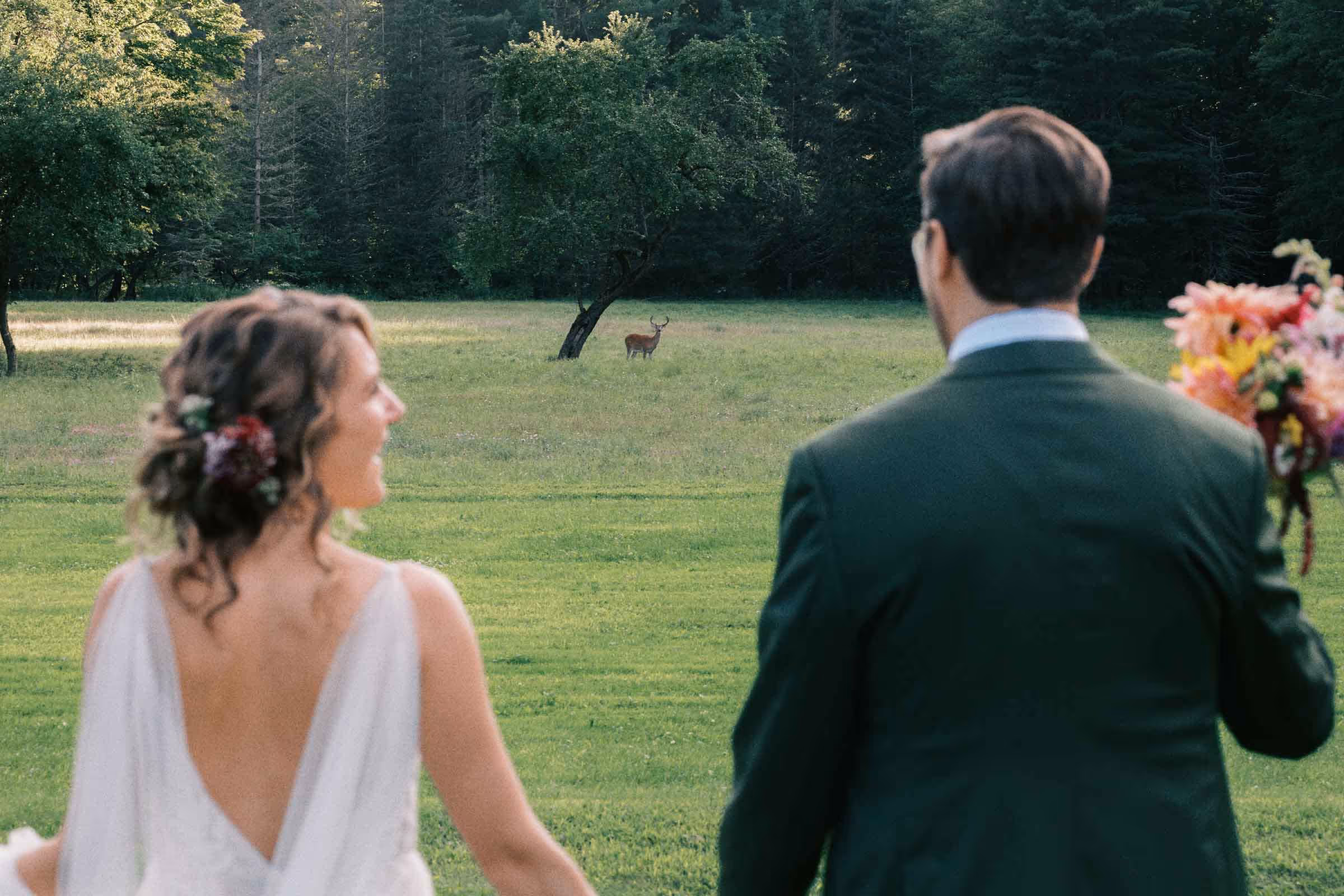 Bride and groom walking outdoors in the Catskills, stunned by the beautiful large deer grazing out in the field in front of them.