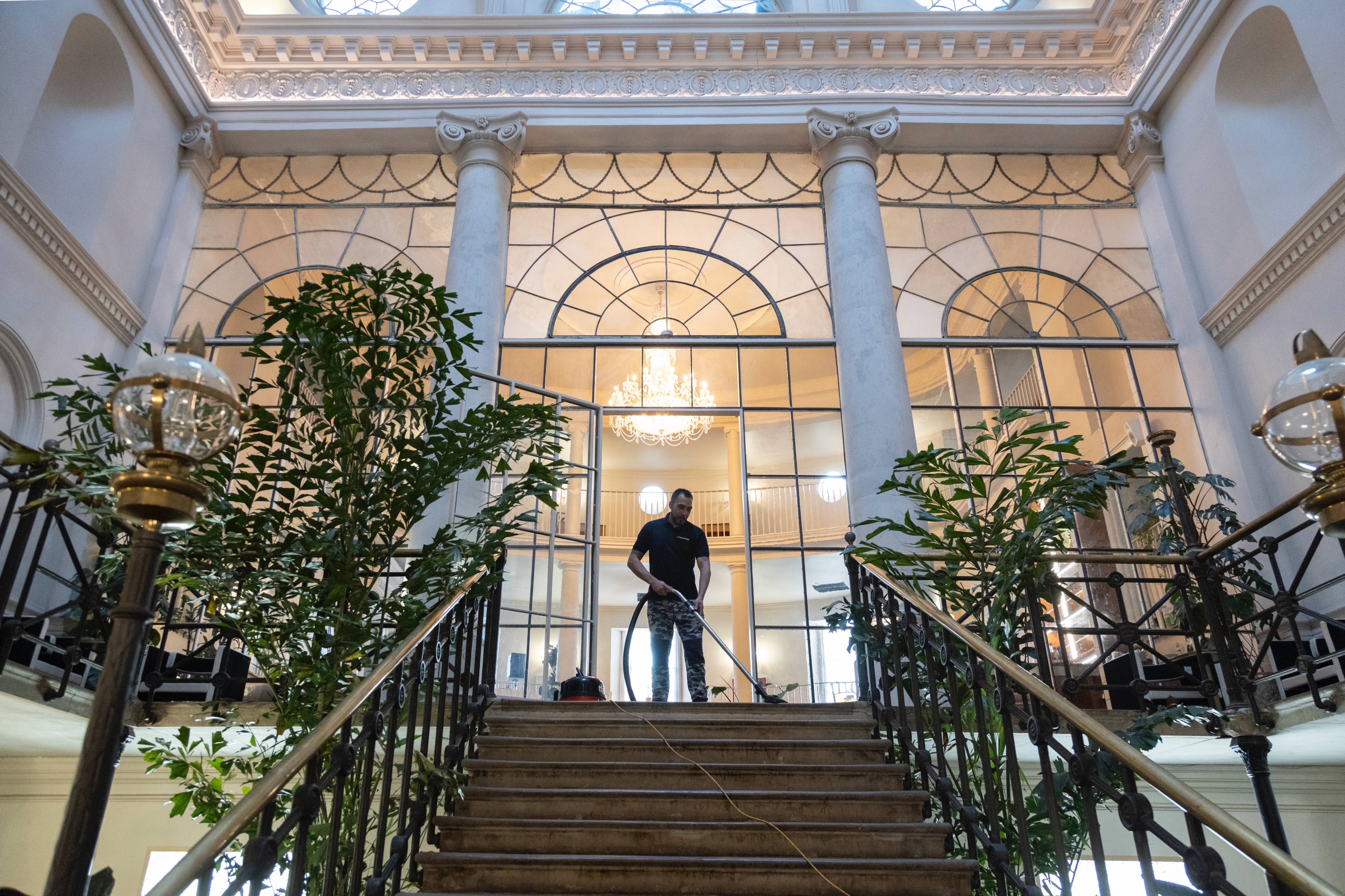 Greening Your Workspace: The Benefits of Office Plants