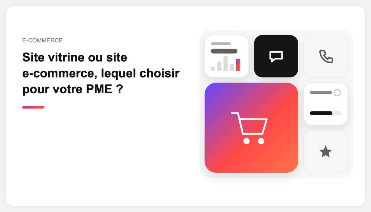 Site vitrine ou site e-commerce, lequel choisir pour votre PME ?