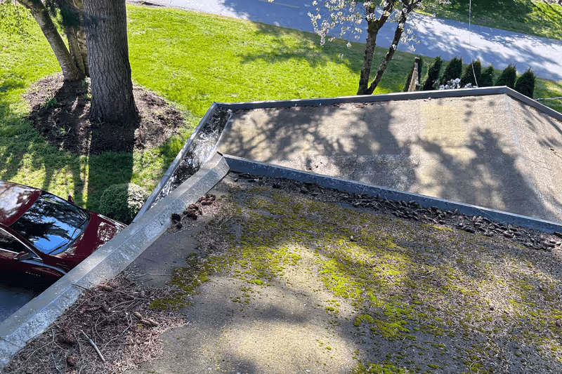 Moss removal service Portland