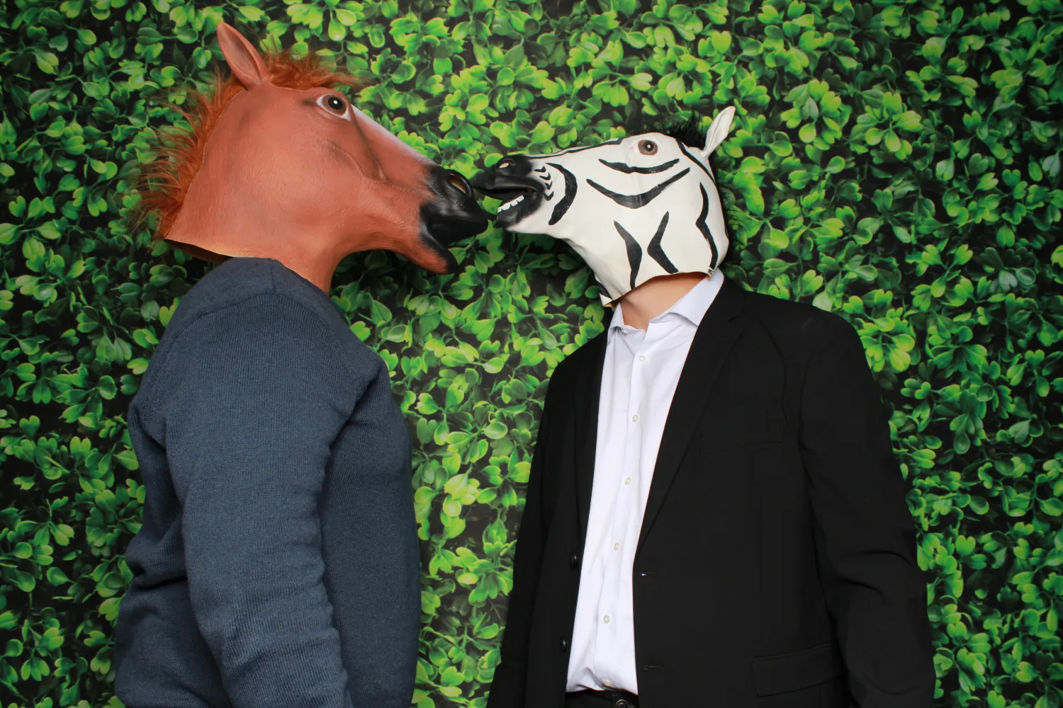 Two people with horse and zebra masks against green leafy background