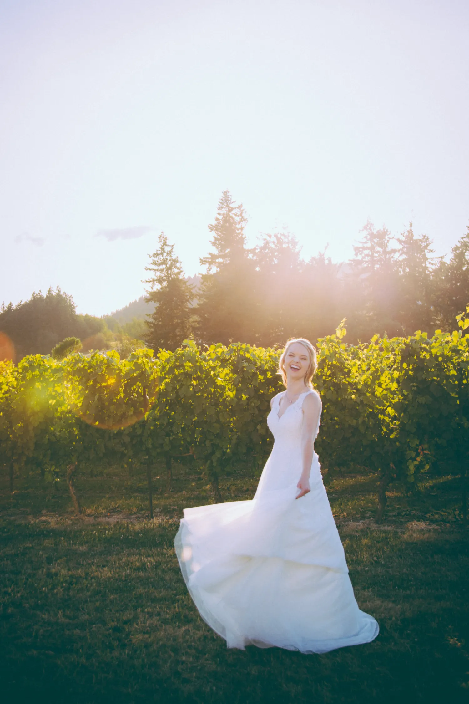 Bride in white wedding dress twirling in sunlit vineyard at sunset