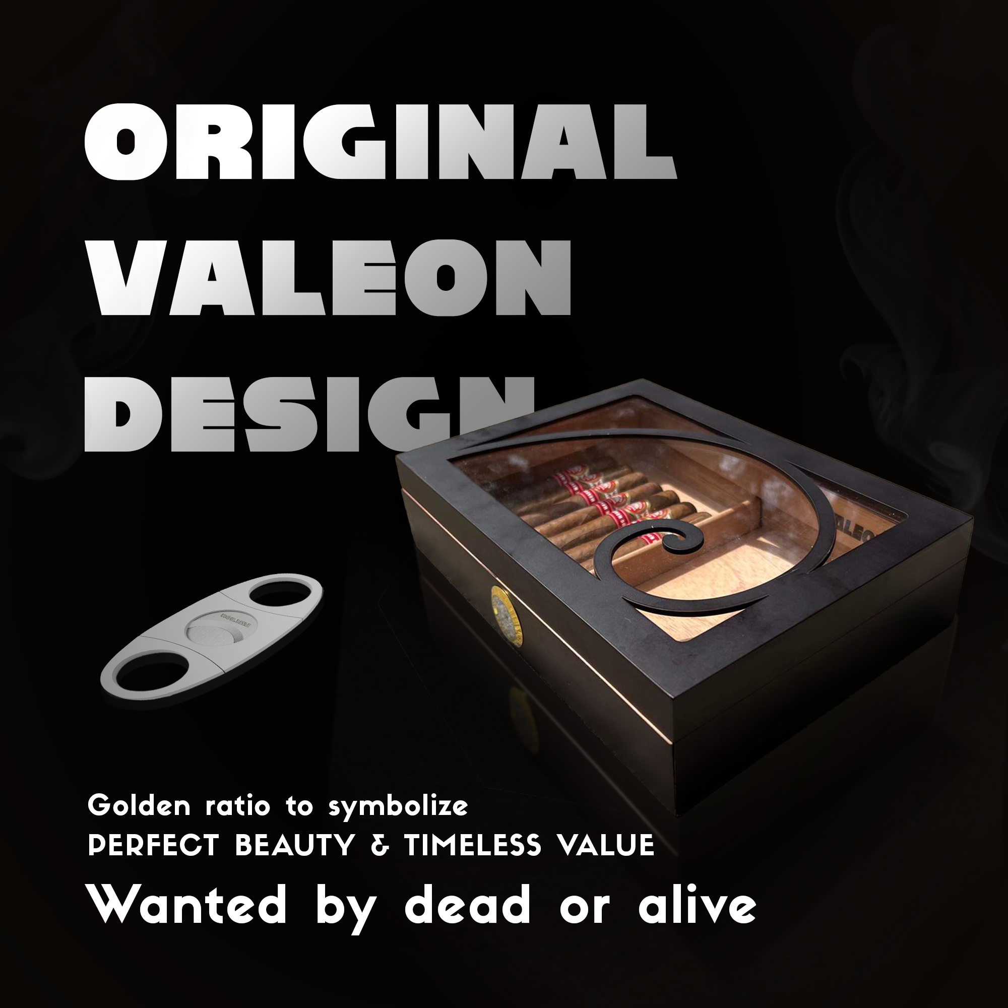 A sample graphic design asset made by Rads Media owner for Valeon.