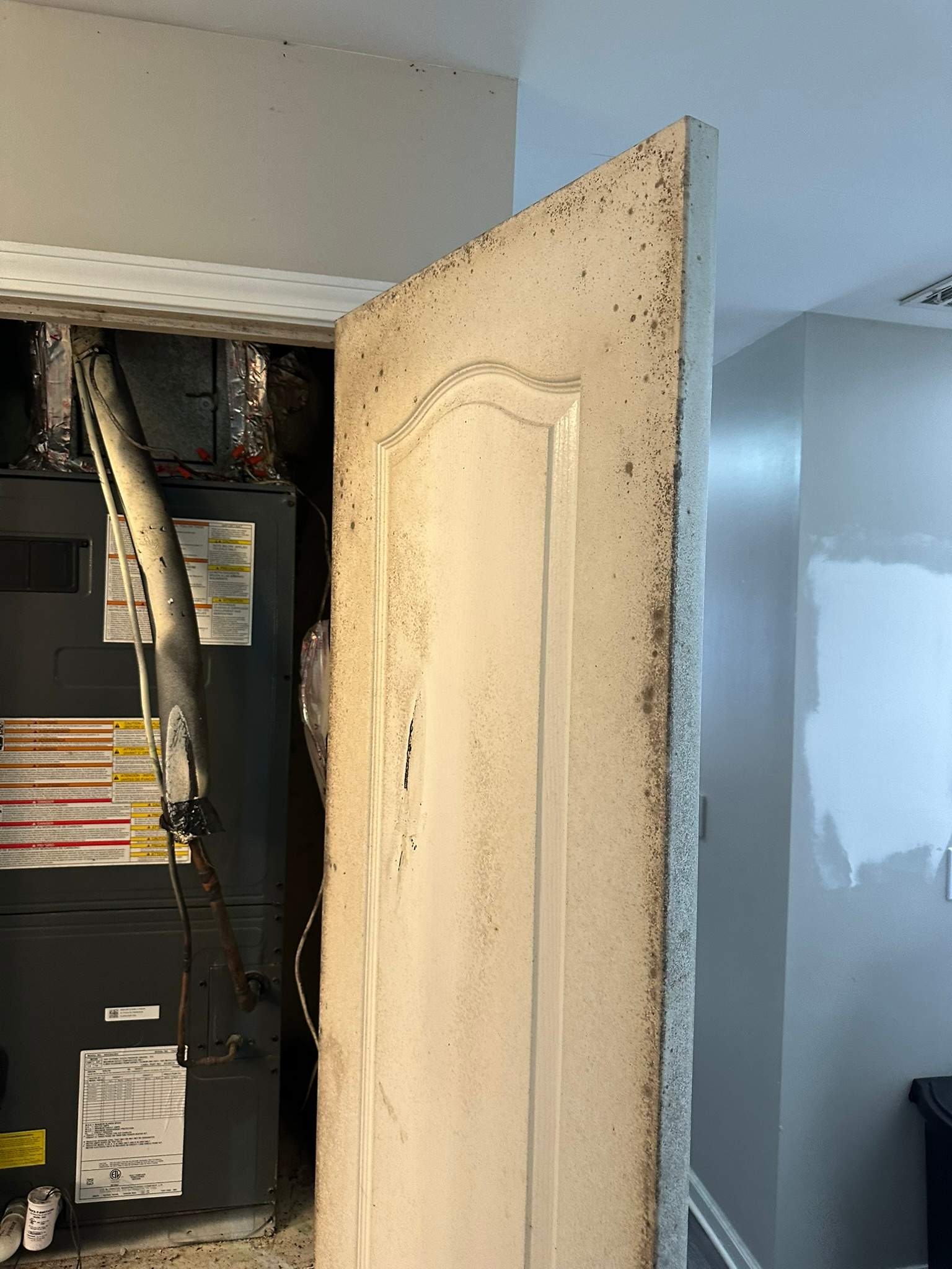 Mold growth found behind an HVAC closet door during a remediation survey