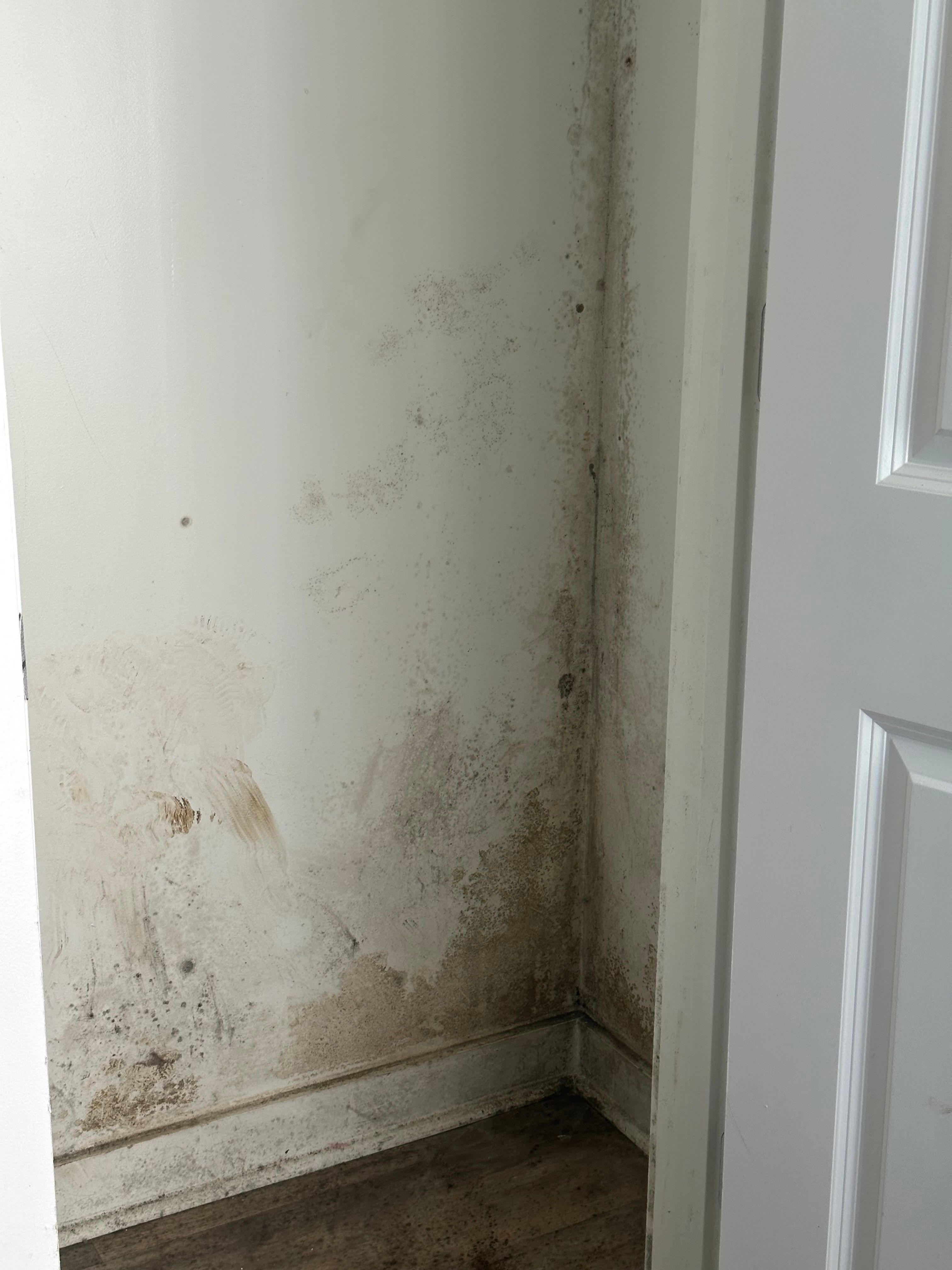 Sample page from an Apex claim documentation file, showing photographed conditions with scope notes