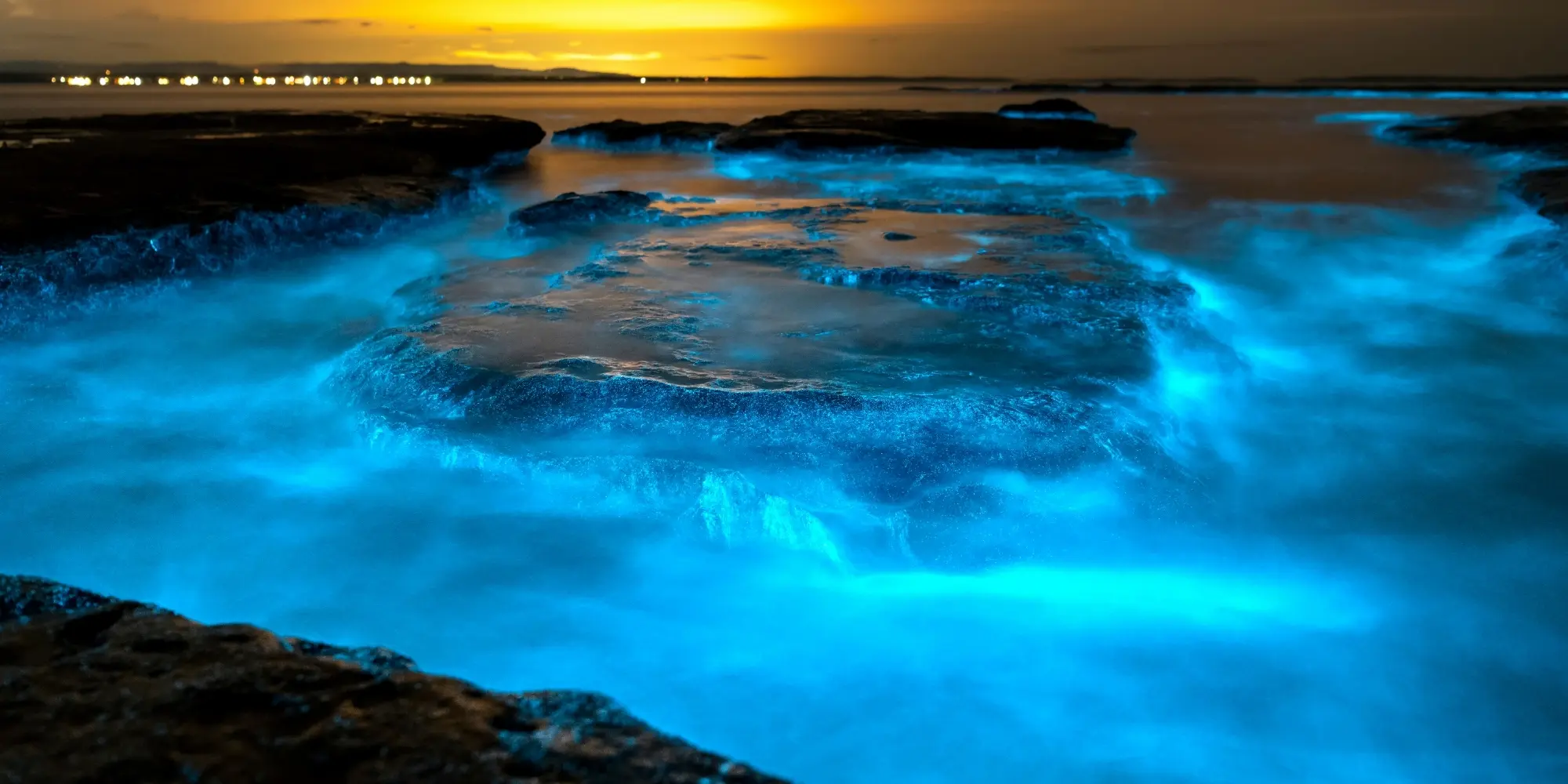 Bioluminescent plankton glowing in vibrant blue along a rocky shoreline at night, creating a magical ocean scene under a golden sunset sky.
