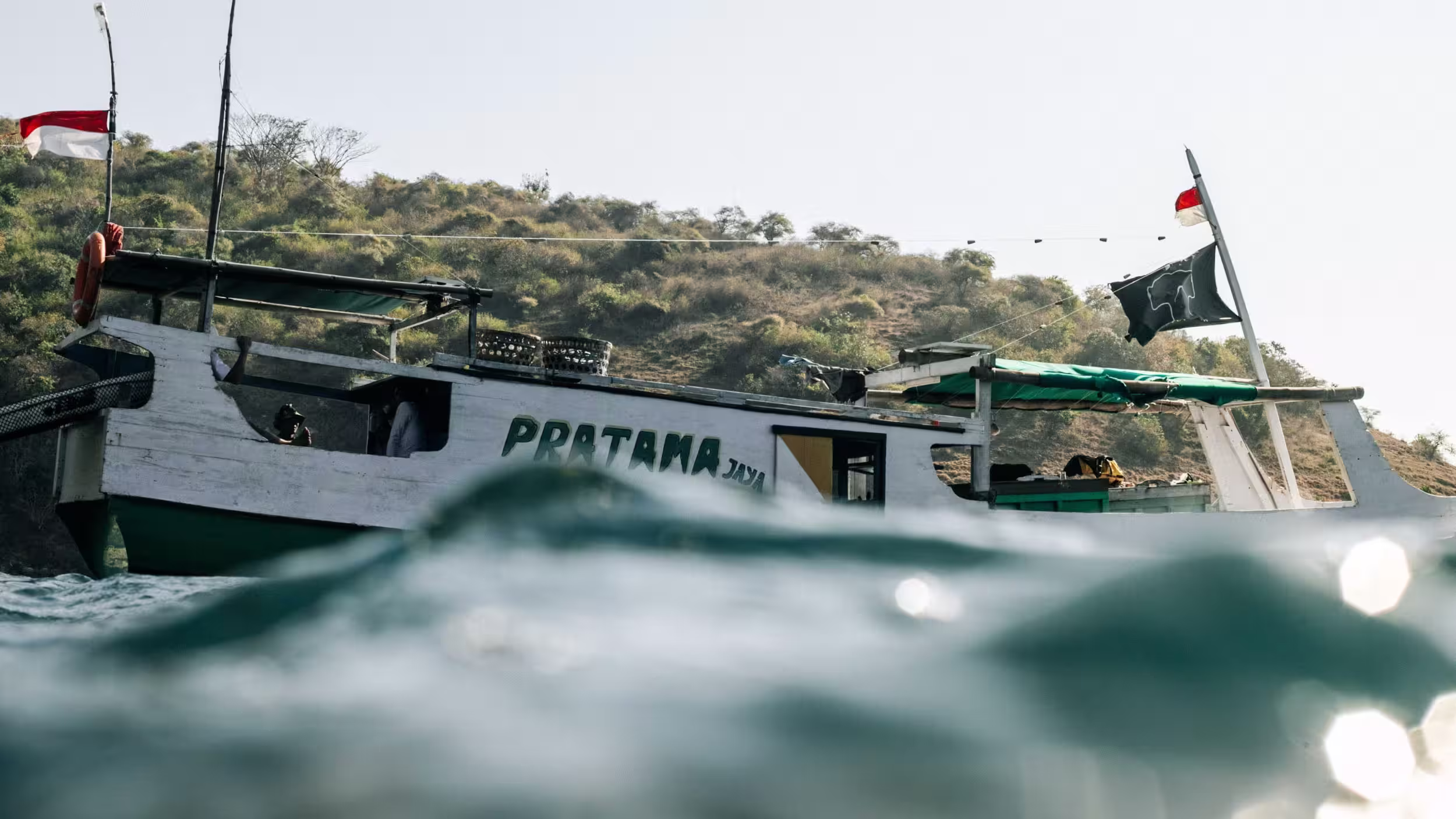Header image for Project Hiu on Tides and Roots, spotlighting ocean conservation and sustainable livelihoods.
