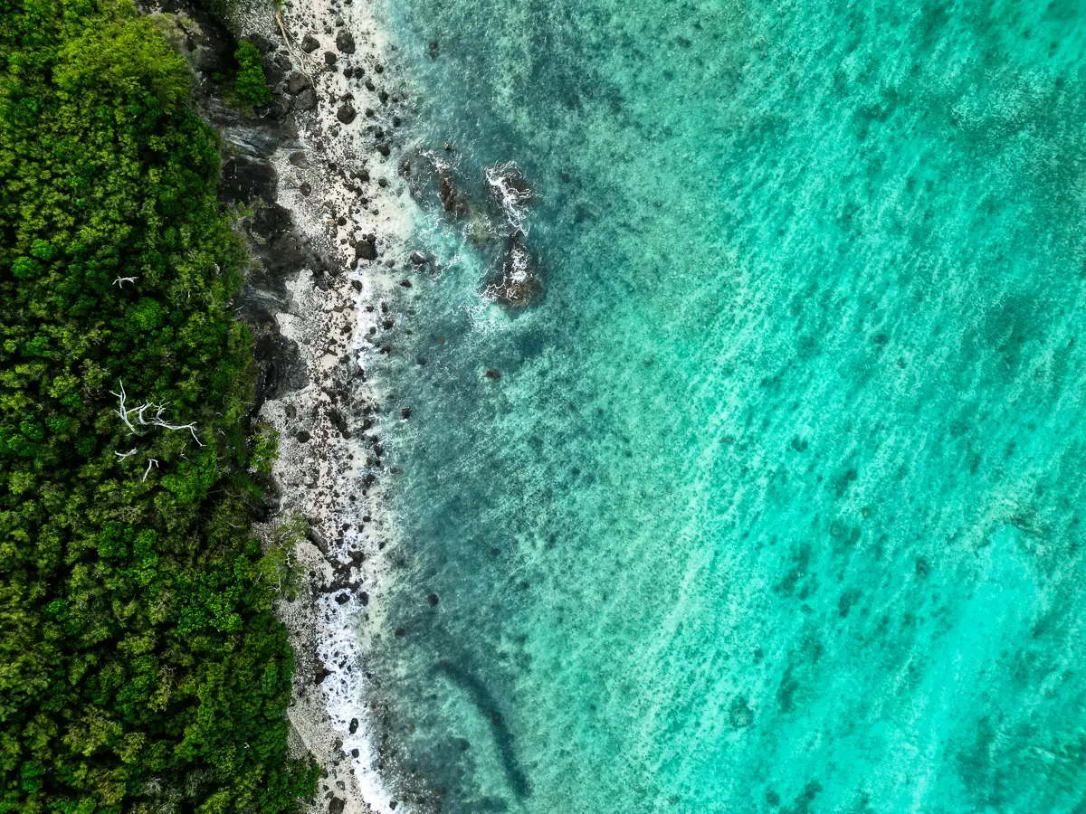 Aerial view of lush green tropical forest meeting turquoise coral waters along the coastline.