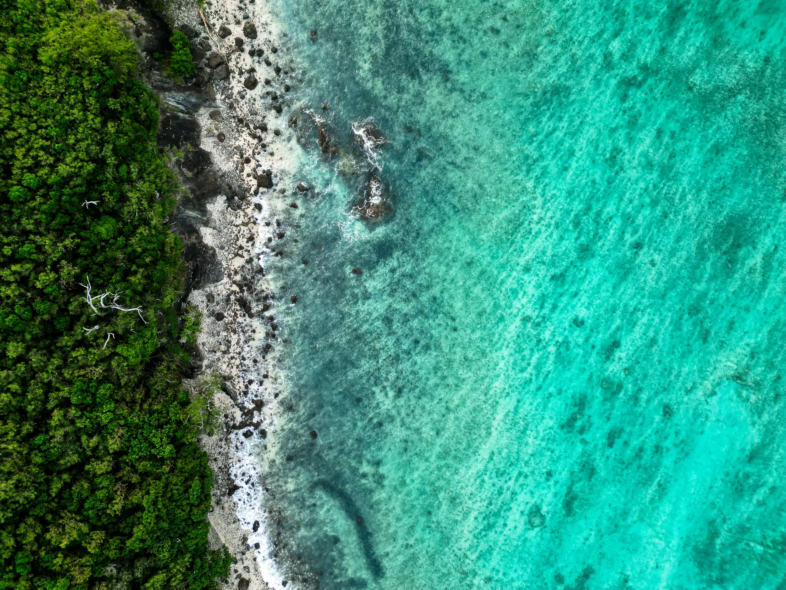 Aerial view of lush green tropical forest meeting turquoise coral waters along the coastline.