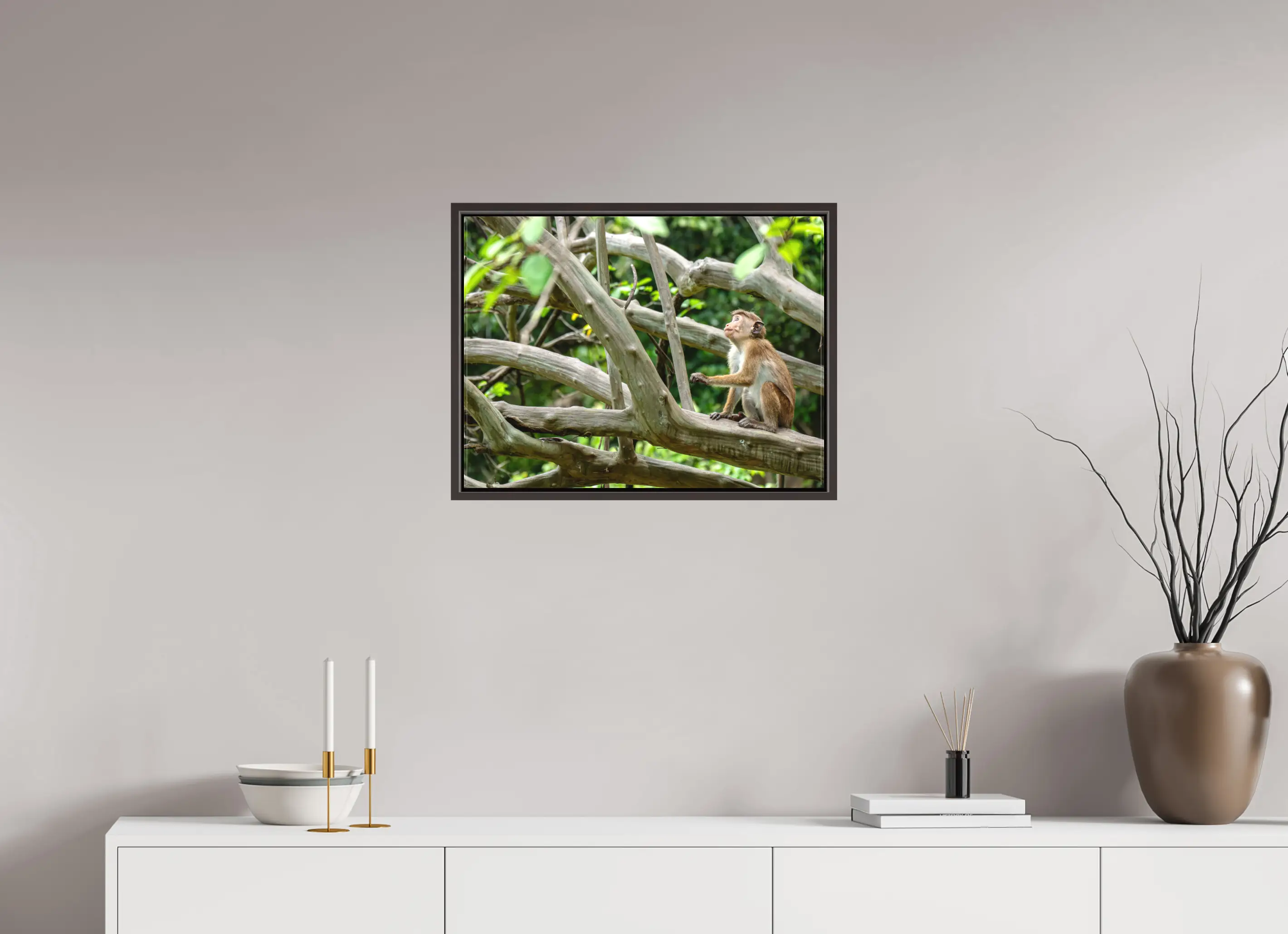 Fine art print “The Watchful Gaze” featuring a toque macaque sitting alert among the branches of a forest tree in Sri Lanka, displayed on a premium framed canvas print in a modern living room setting.