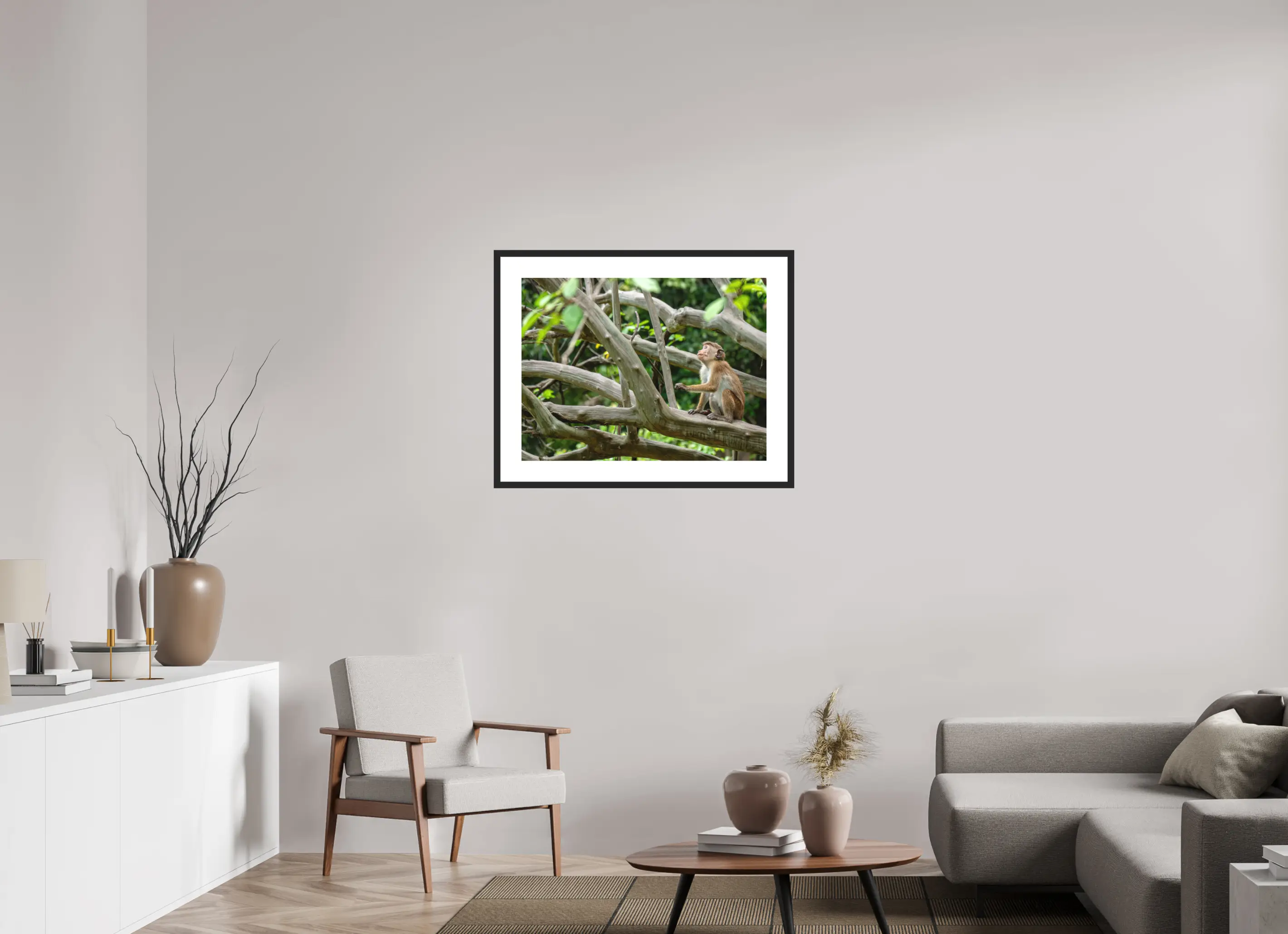 Fine art print “The Watchful Gaze” featuring a toque macaque sitting alert among the branches of a forest tree in Sri Lanka, displayed in a passepartout frame in a modern living room setting.