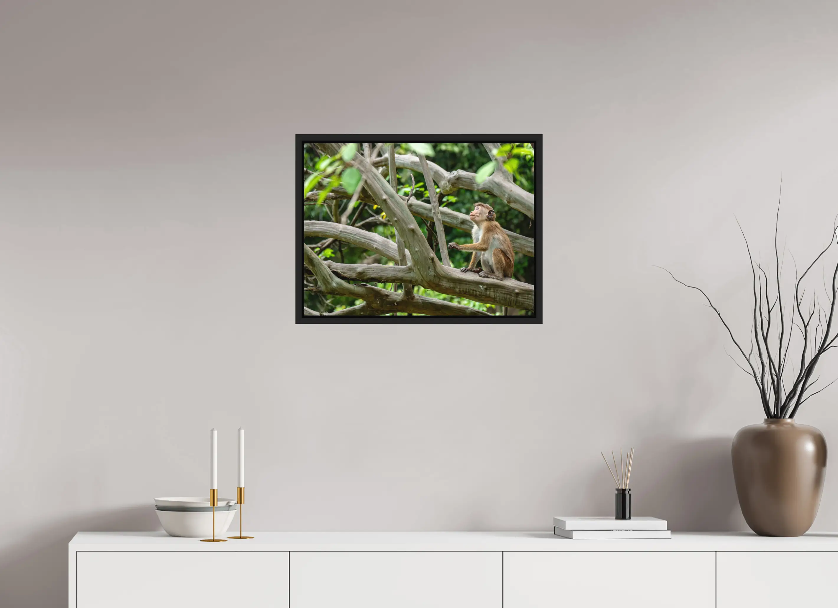 Fine art print “The Watchful Gaze” featuring a toque macaque sitting alert among the branches of a forest tree in Sri Lanka, displayed in a floater frame in a modern living room setting.