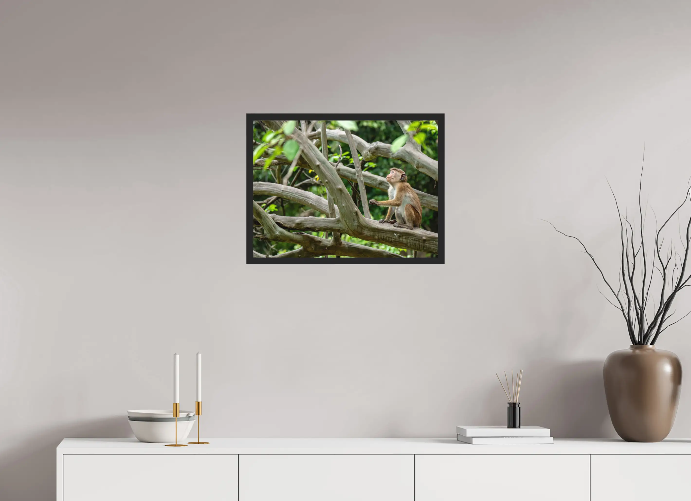 Fine art print “The Watchful Gaze” featuring a toque macaque sitting alert among the branches of a forest tree in Sri Lanka, displayed classic framed in a modern living room setting.