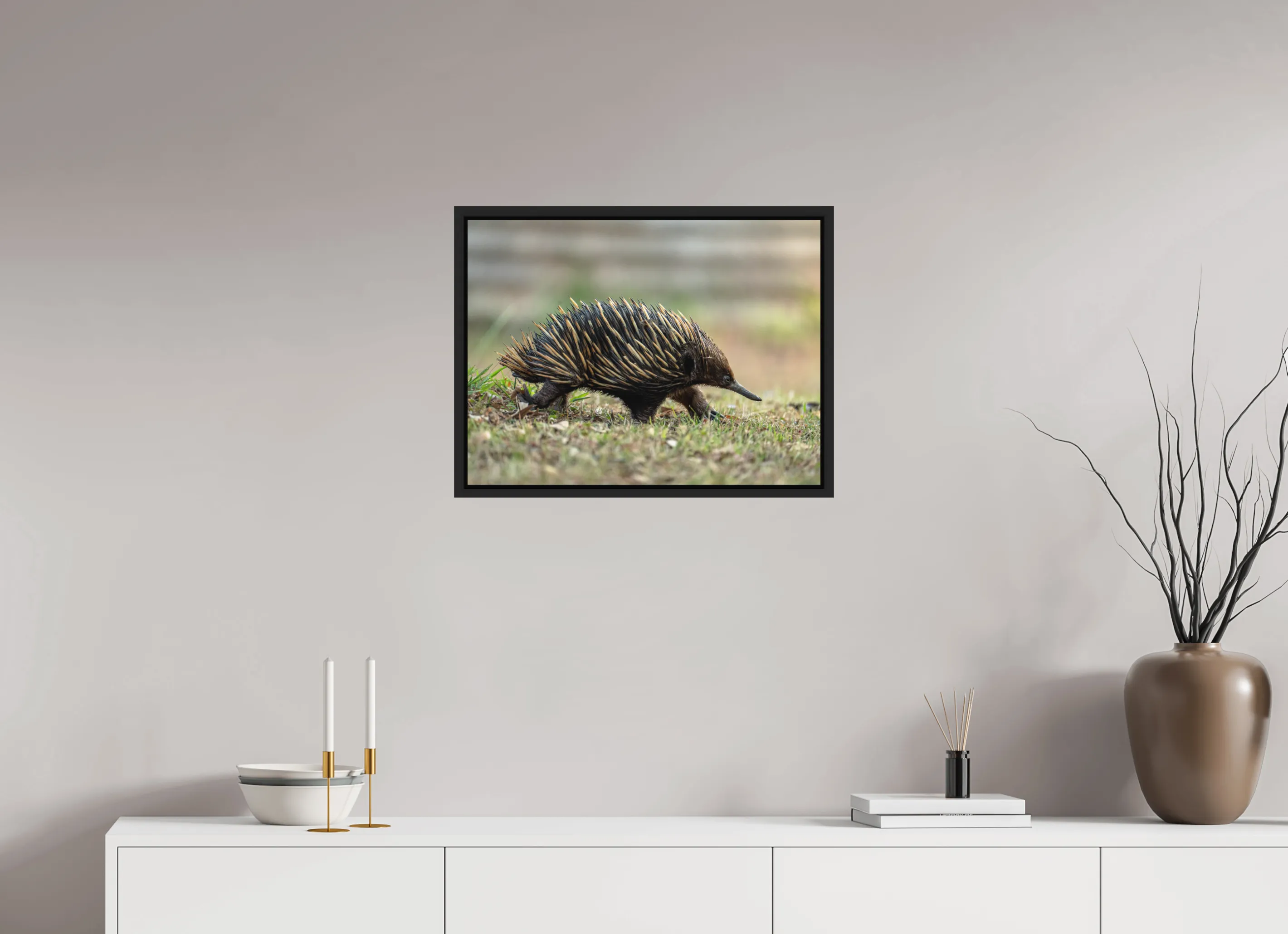 Fine art print “Ancient Footprint” featuring a short beaked echidna walking through grassy terrain in Australia, displayed in a floater frame in a modern living room setting.