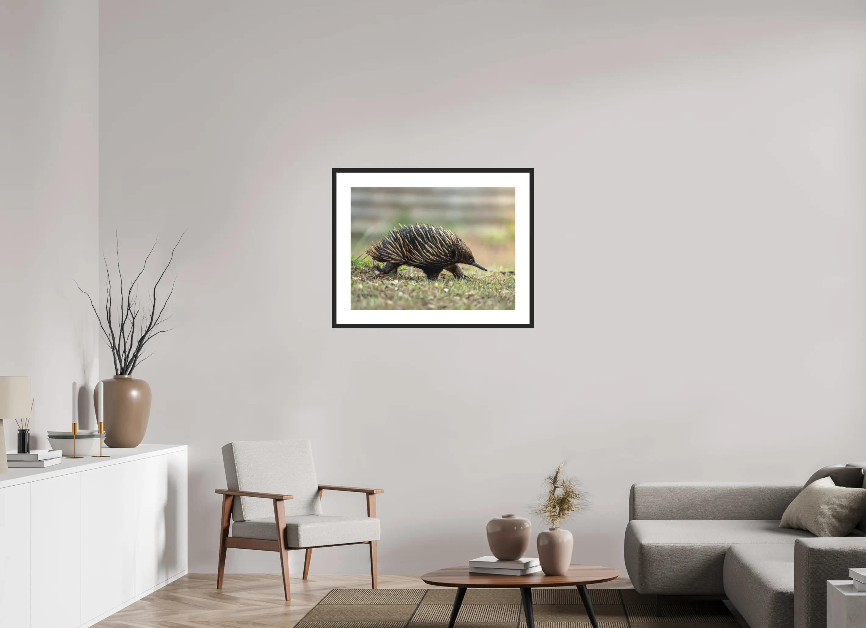 Fine art print “Ancient Footprint” featuring a short beaked echidna walking through grassy terrain in Australia, displayed in a passepartout frame in a modern living room setting.