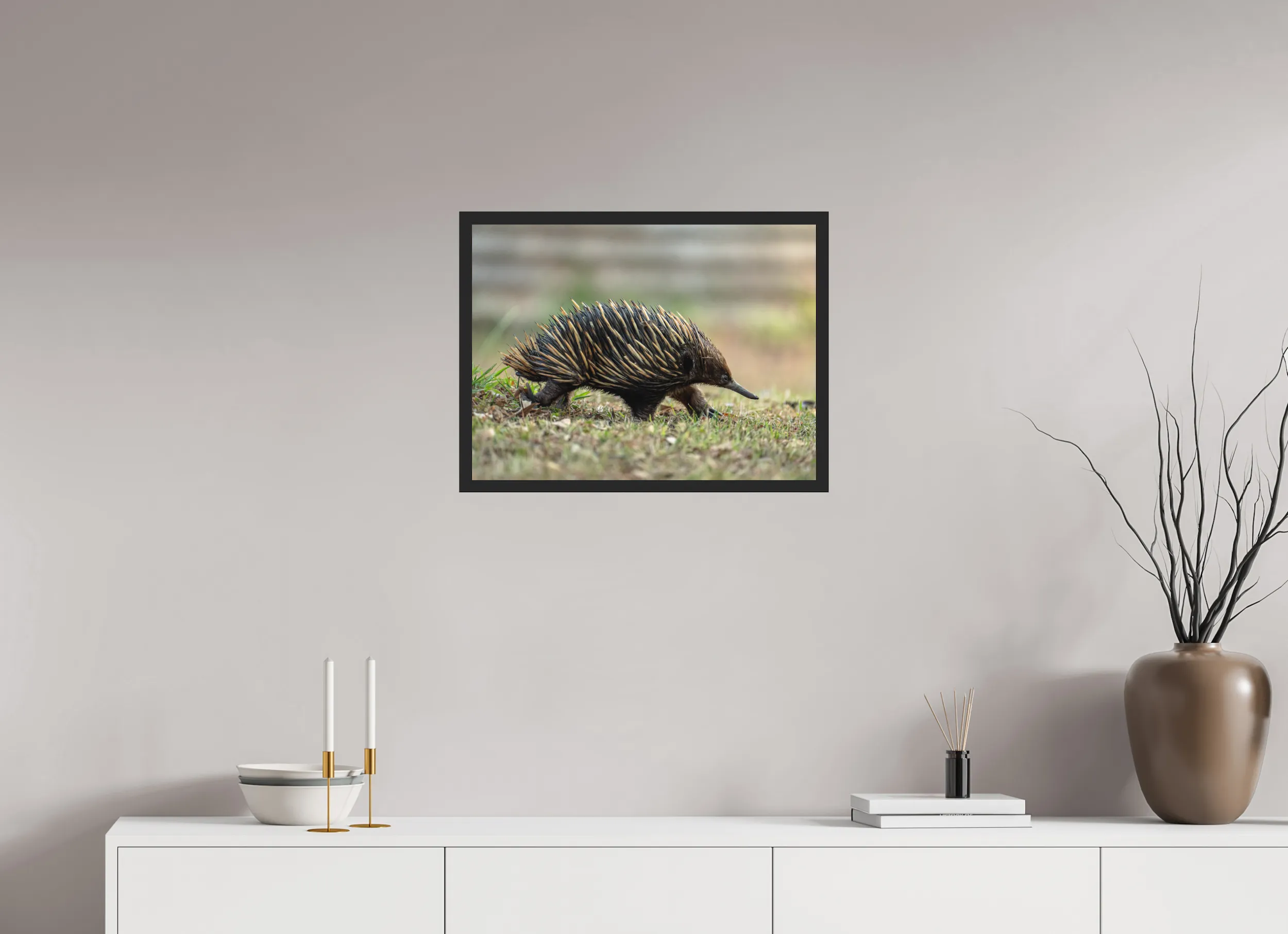 Fine art print “Ancient Footprint” featuring a short beaked echidna walking through grassy terrain in Australia, displayed classic framed in a modern living room setting.