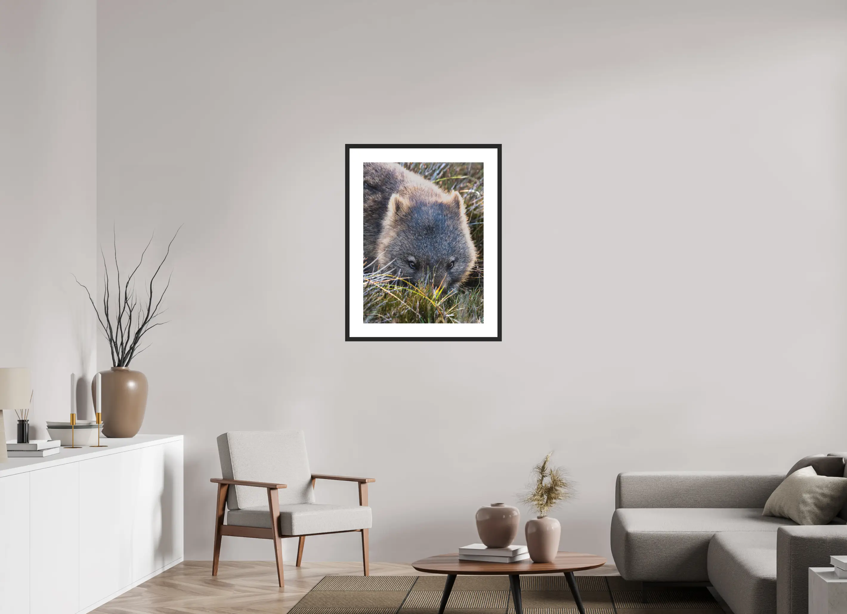 Fine art print “Conscious” featuring a close up of a wombat’s face grazing in soft morning light in Tasmania’s alpine grasslands, displayed in a passepartout frame in a modern living room setting.